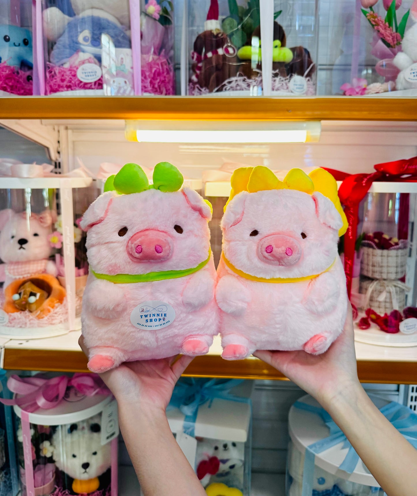SD | Ribbon piggy