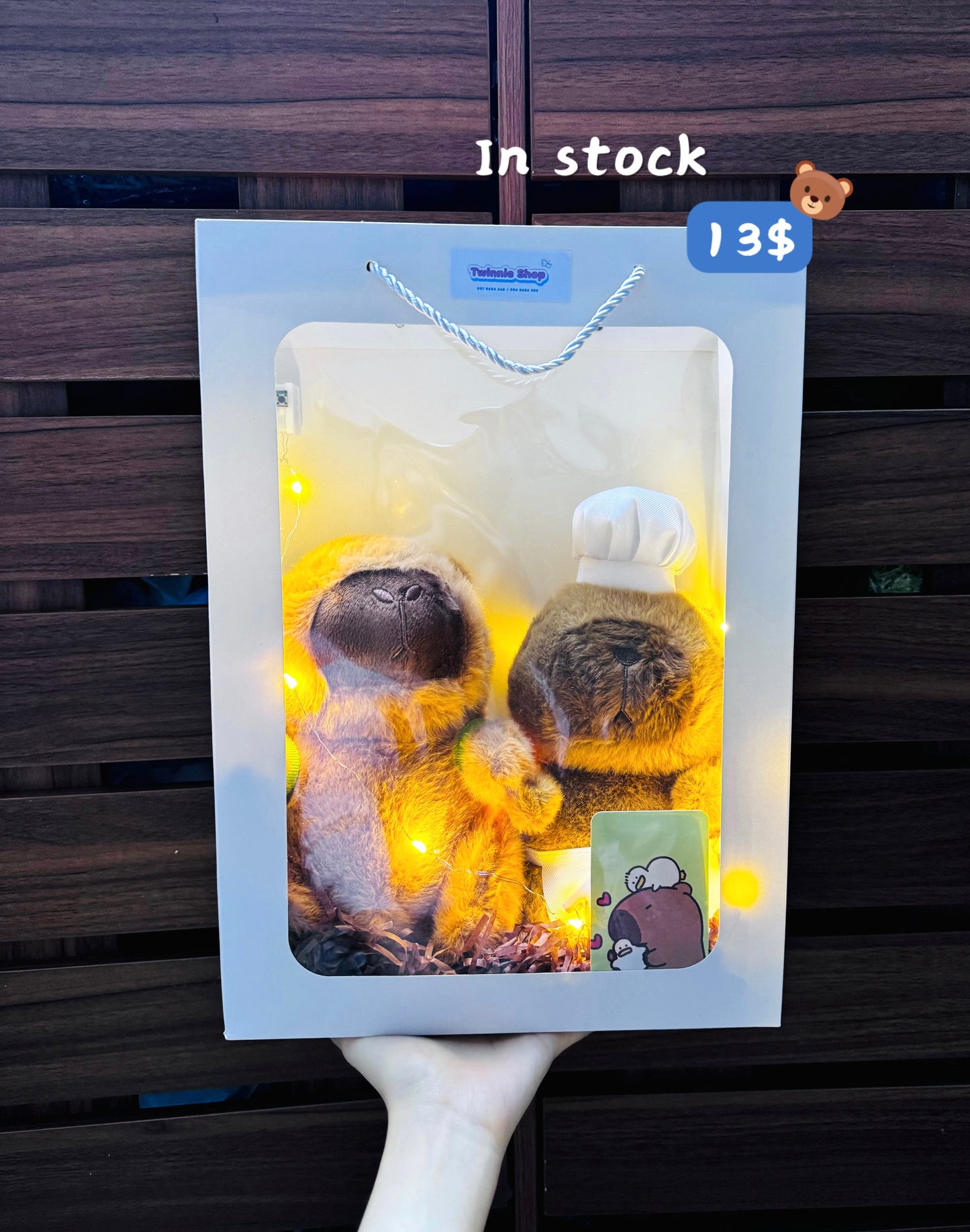 CPB | Capybara couple gift bag