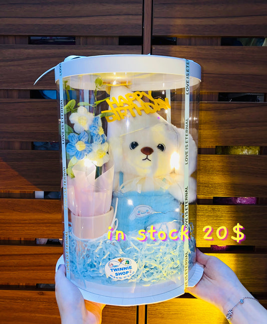 BD20 | teddy bear birthday gift set