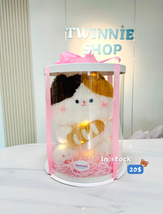 BB | Bread cat gift box
