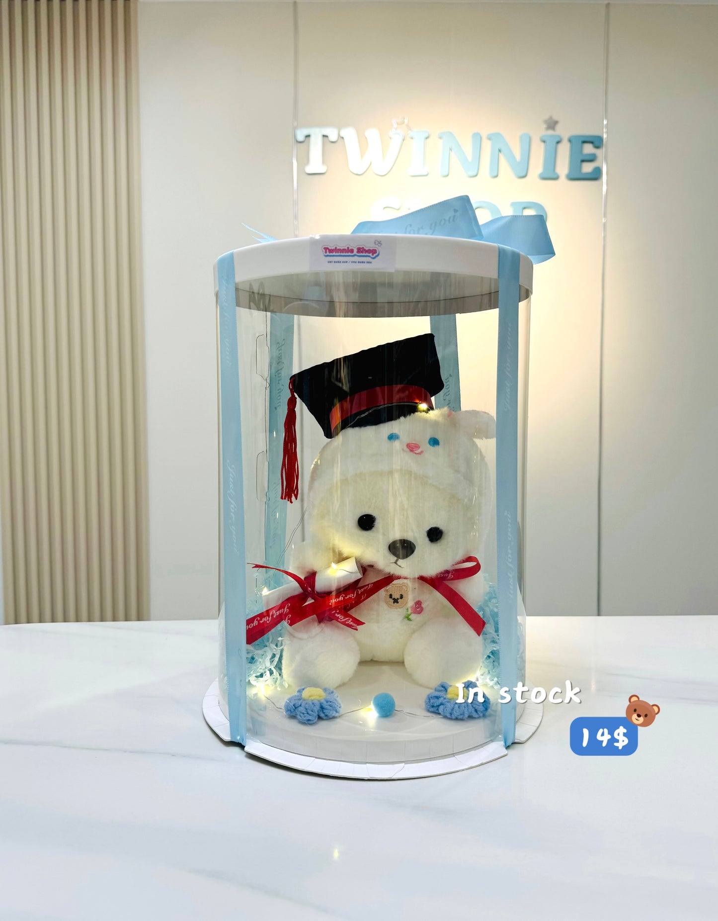 GRA | Teddy bear graduate set