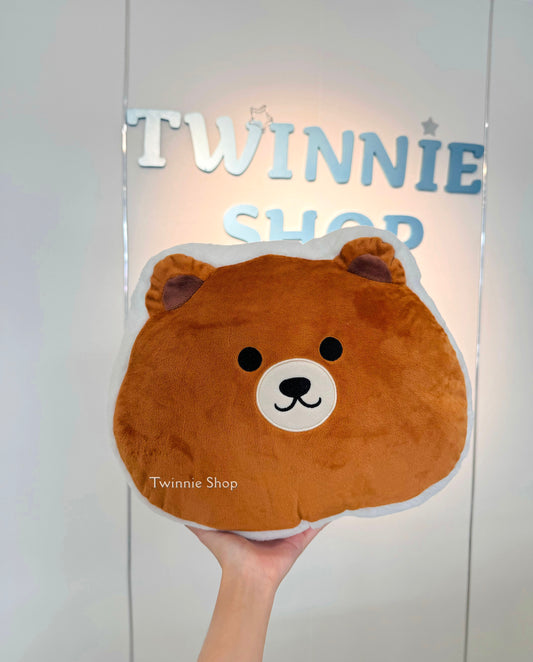 PL | Teddy pillow