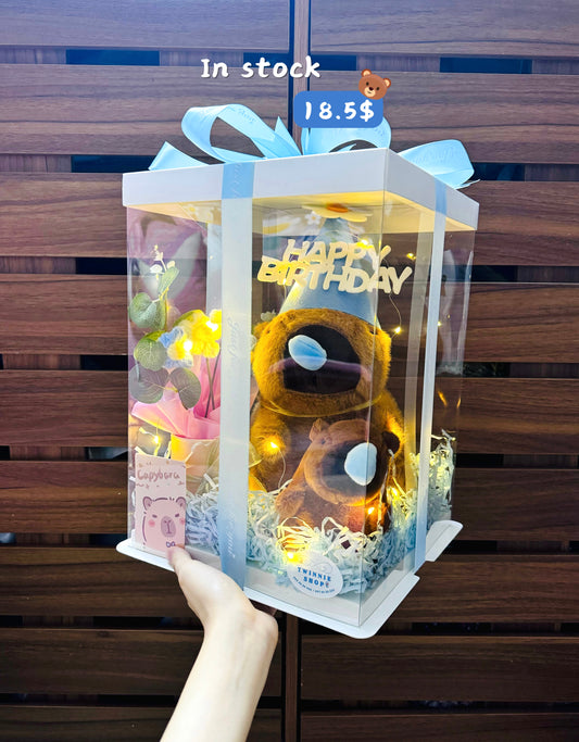 BD18 | Capybara birthday mix set