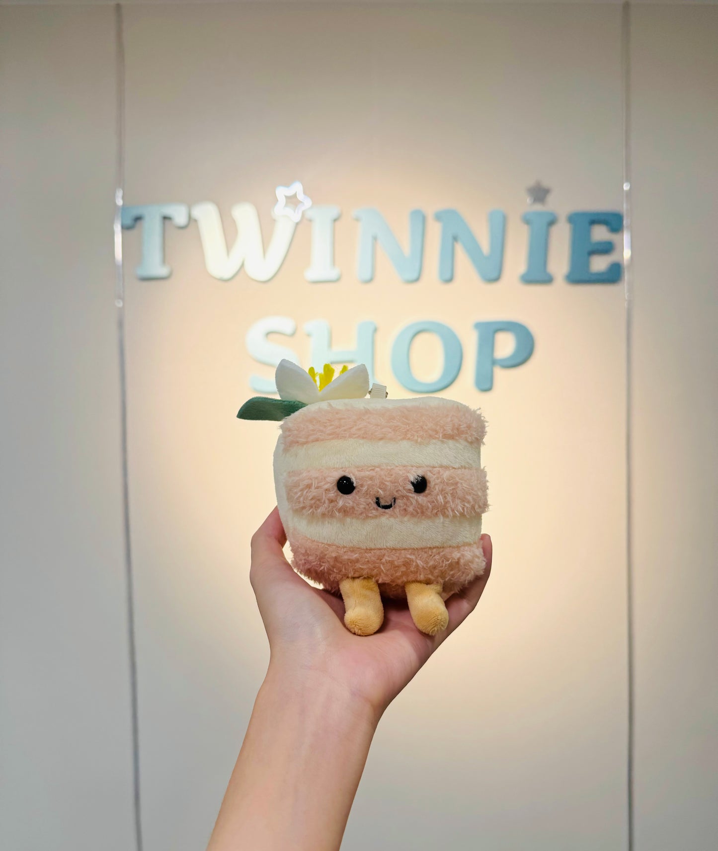 KEY | Cake slide keychain