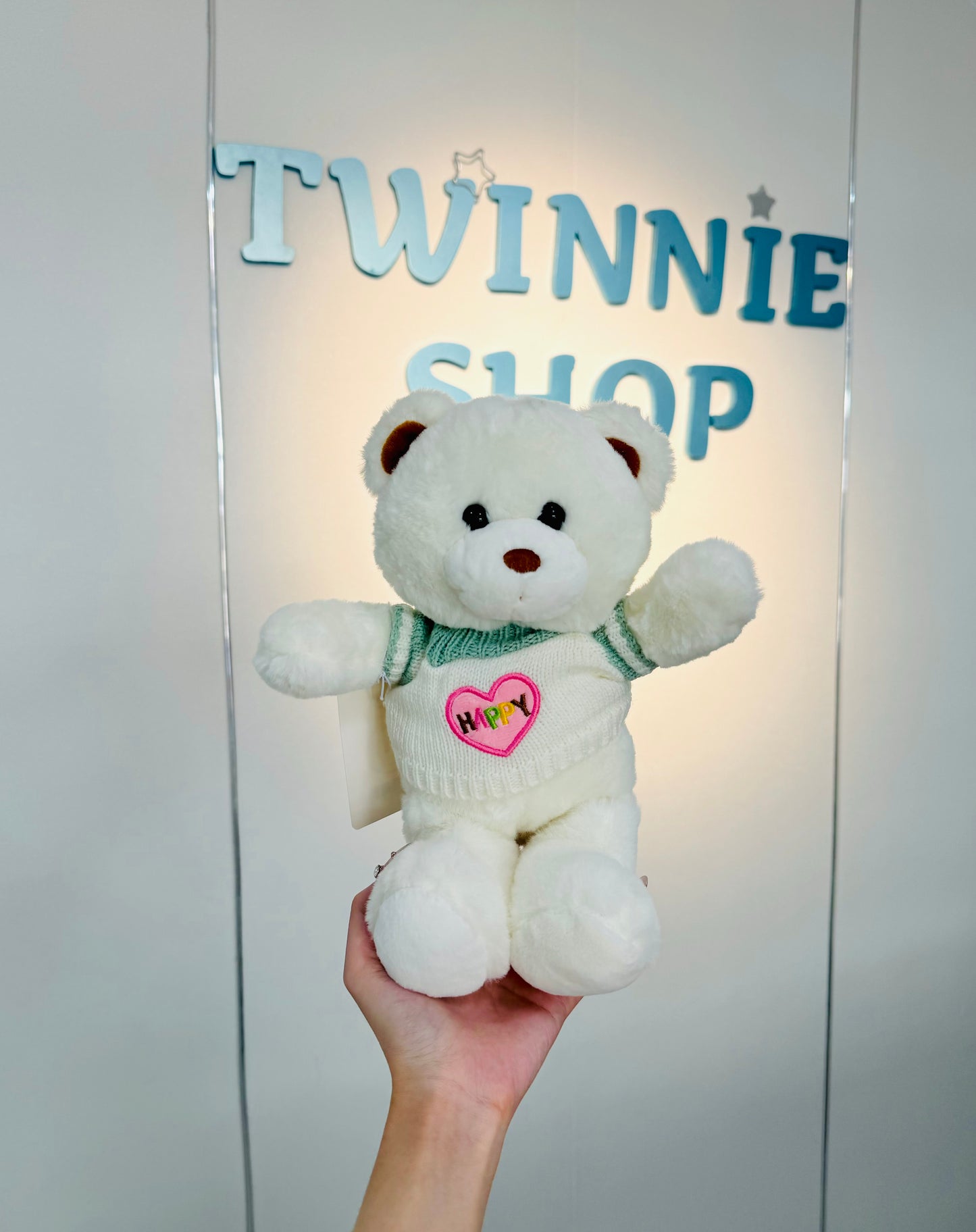 SD | White teddy bear