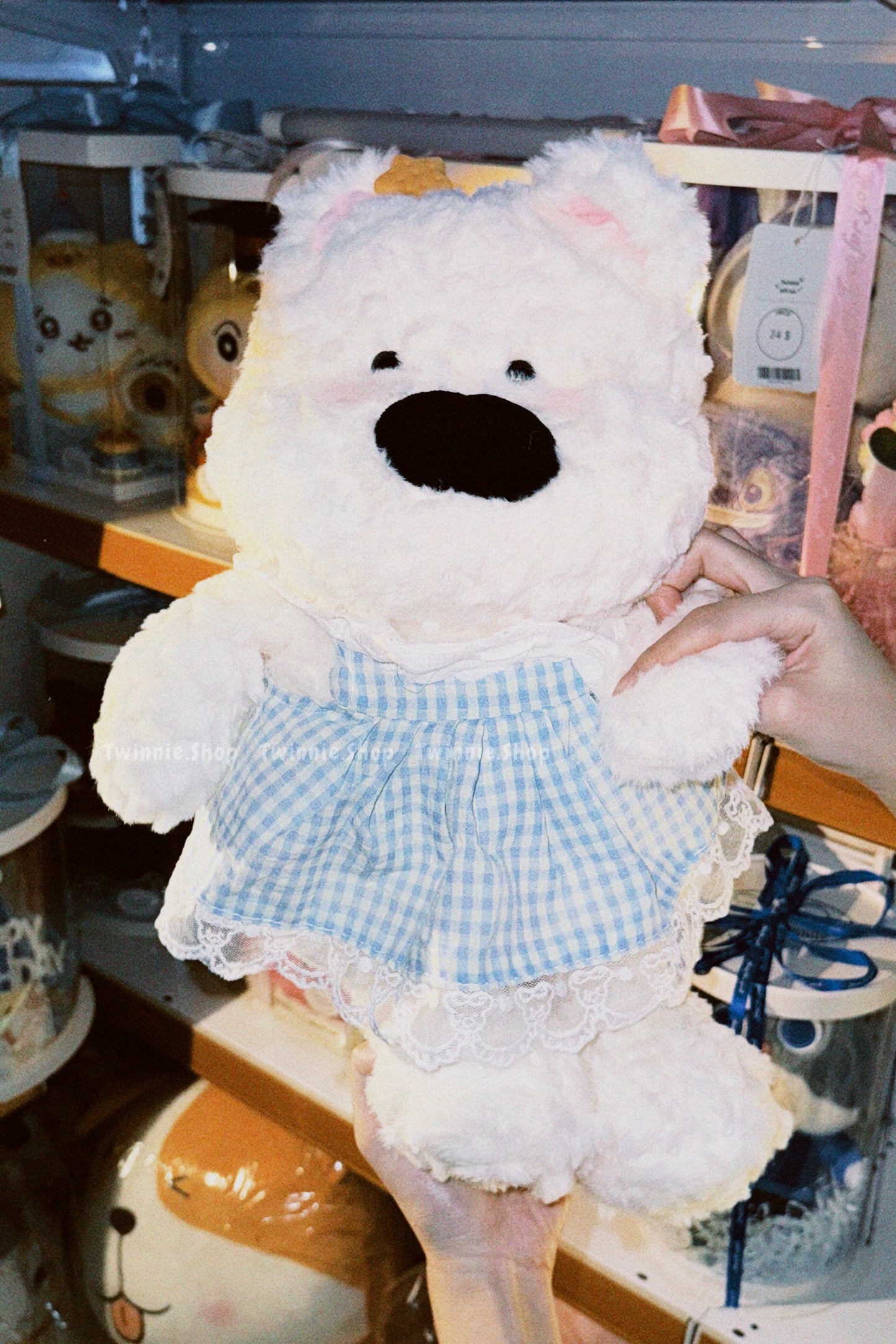 BT | Dress Star puppy