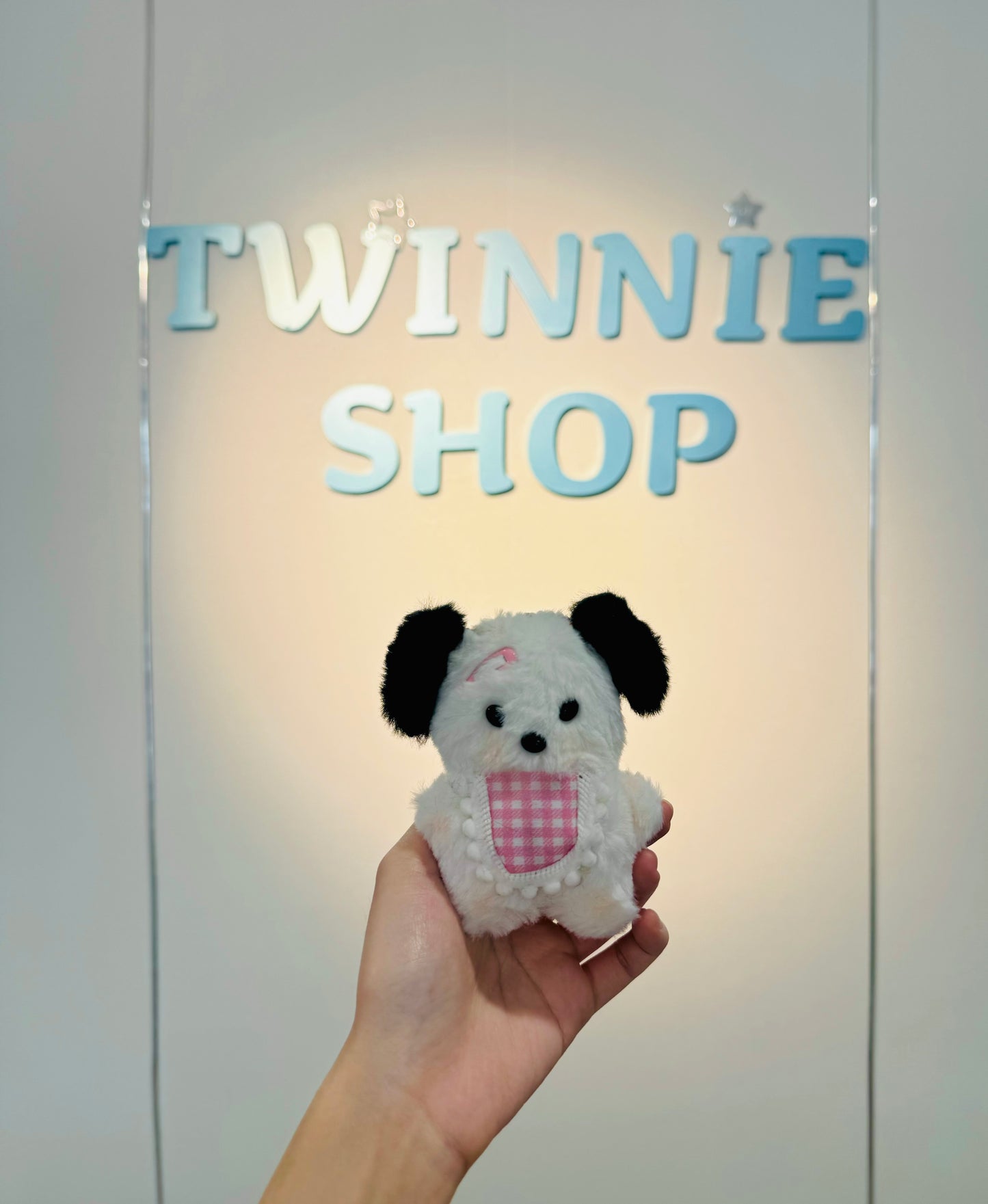 KEY | Pochacoo keychain