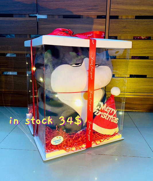 Xmas | Cat Christmas big set