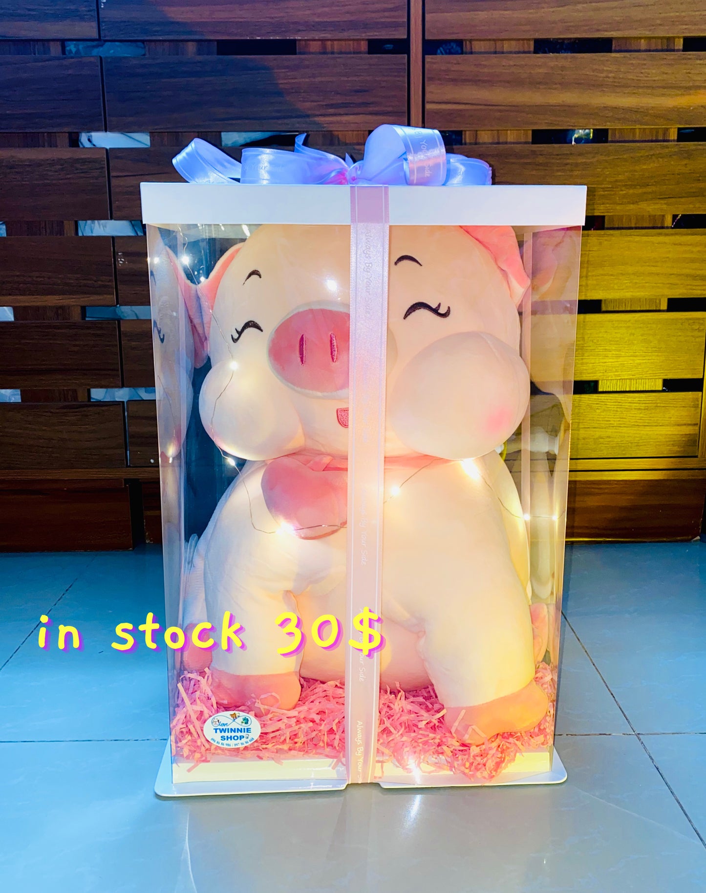 BB | Piggy big set