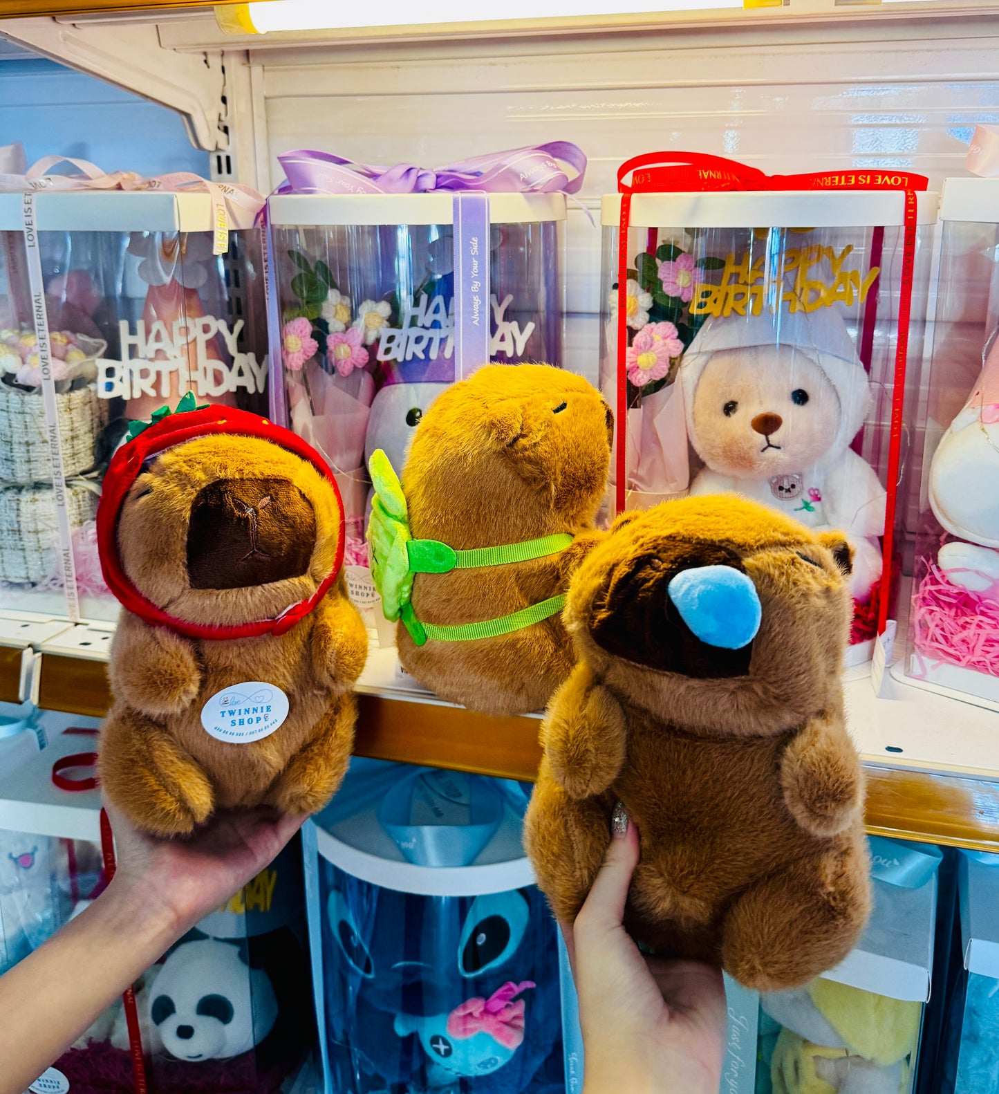 SD | Capybara