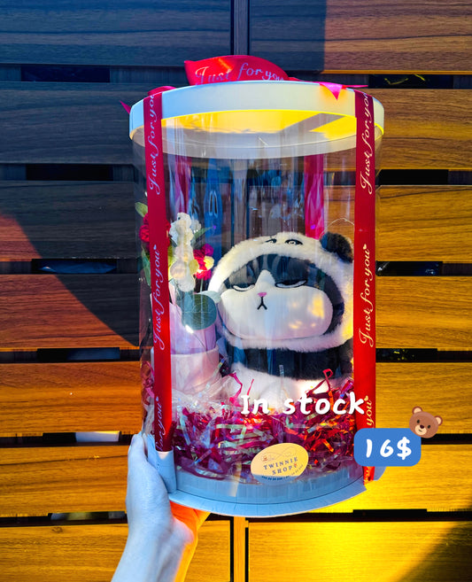 SRBFW | Panda cat gift box
