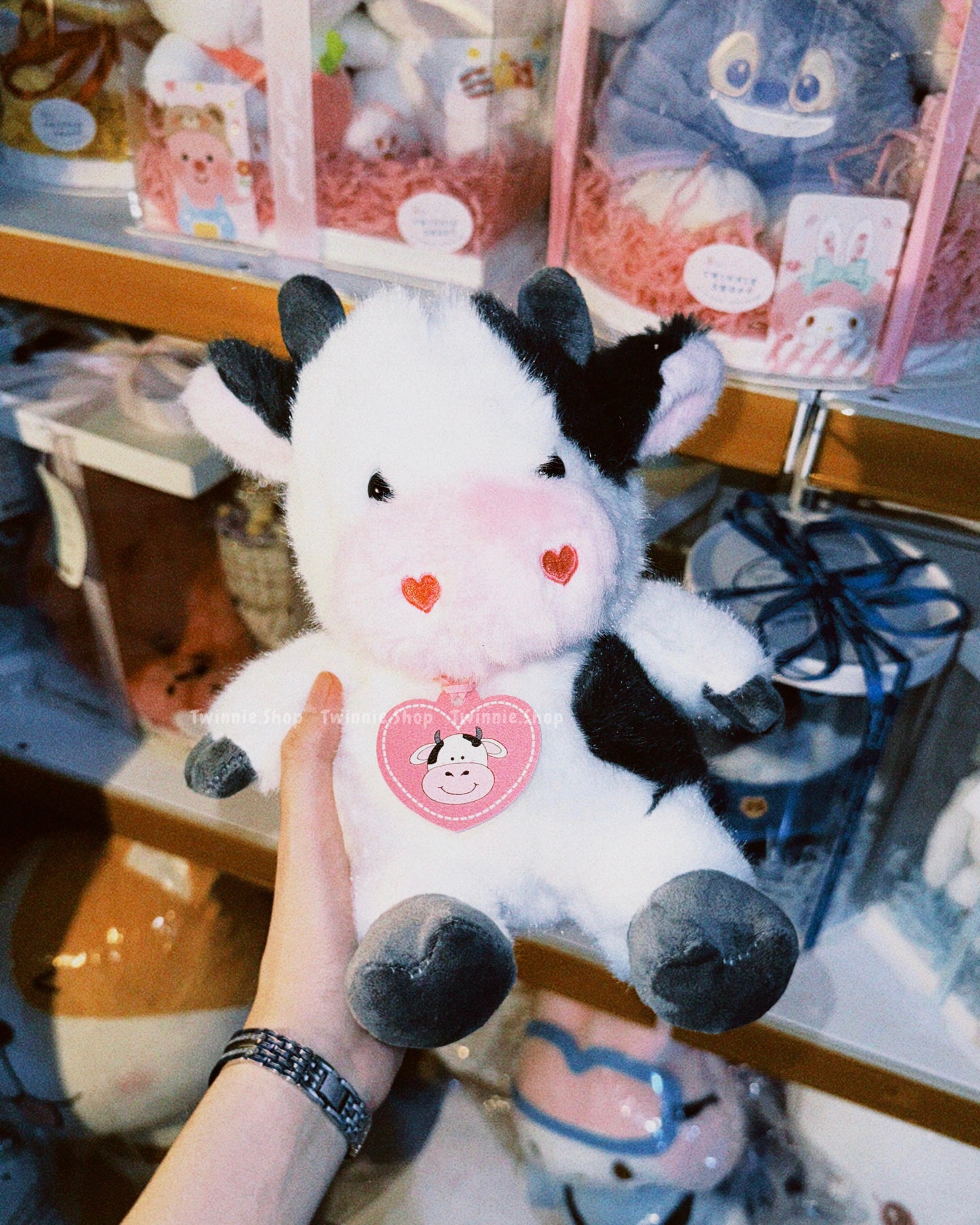 SD | Cow