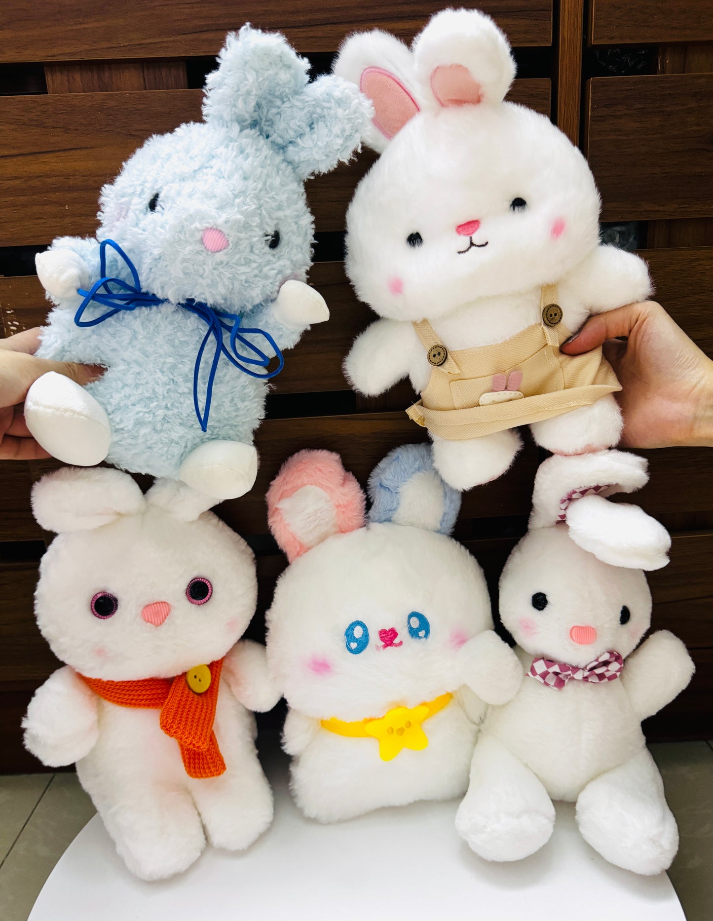 SD | Teddy 5$