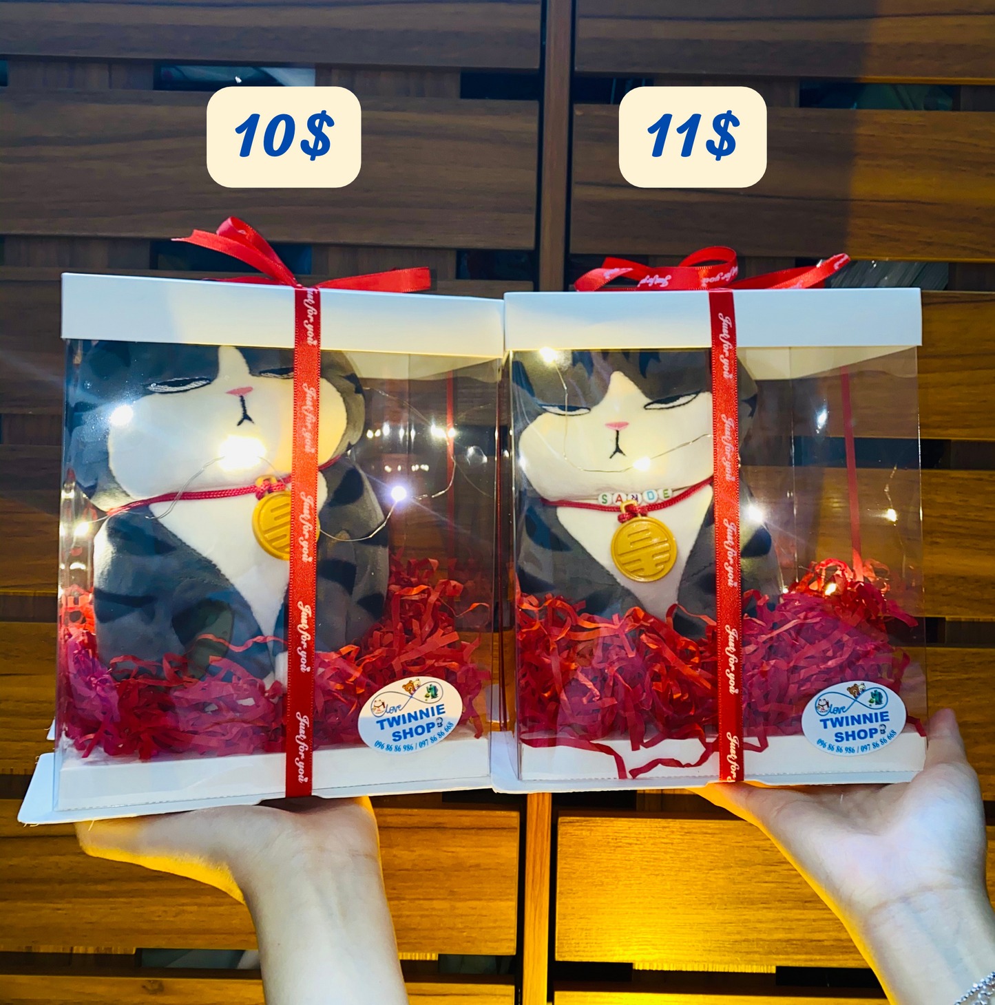 SRB10 | moody cat gift box