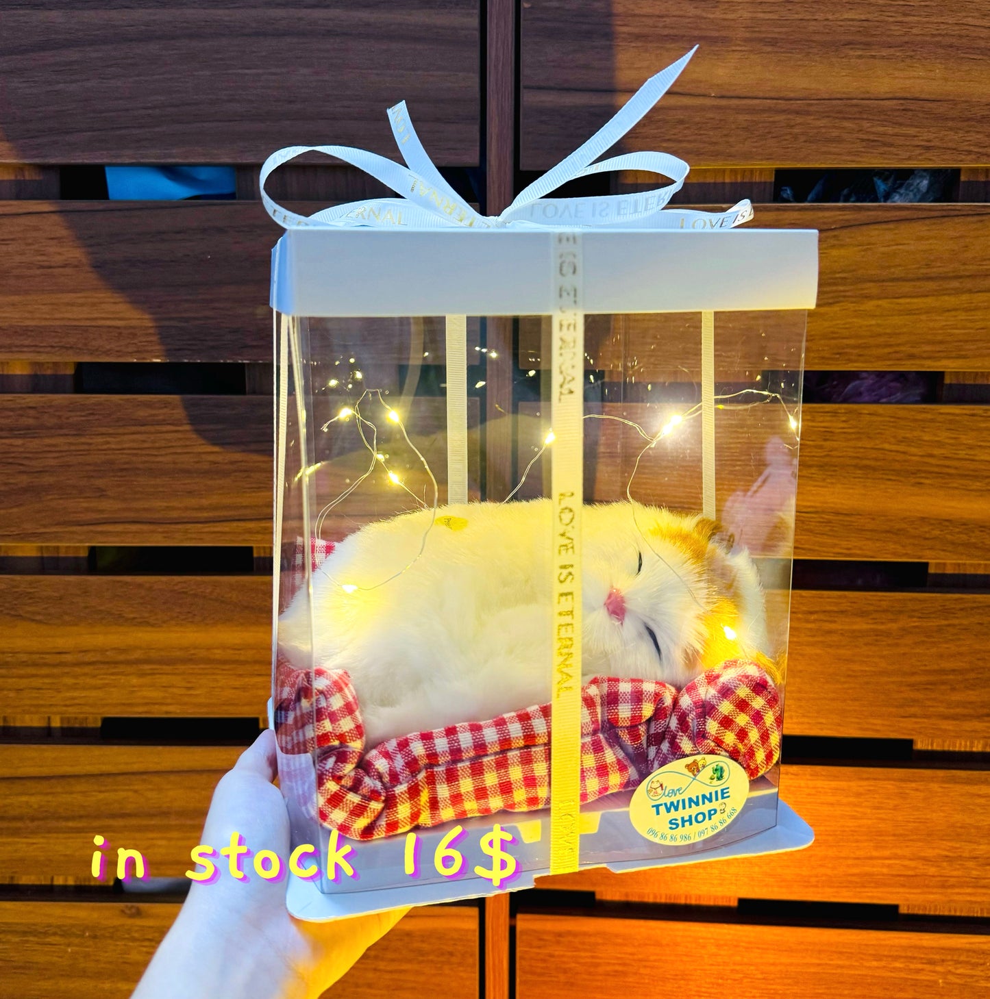 SRB16 | Sleep cat mini box