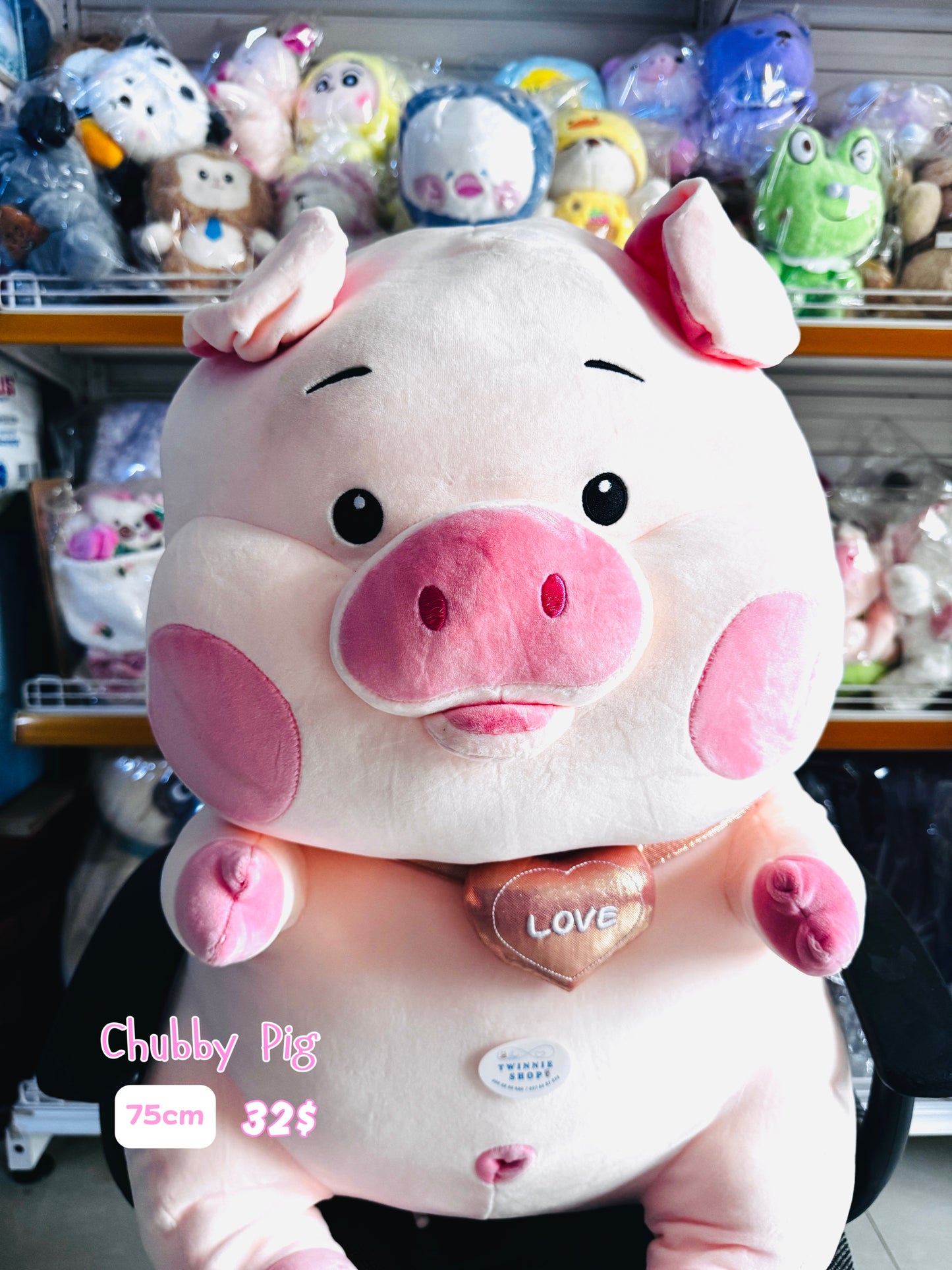 BT | pig