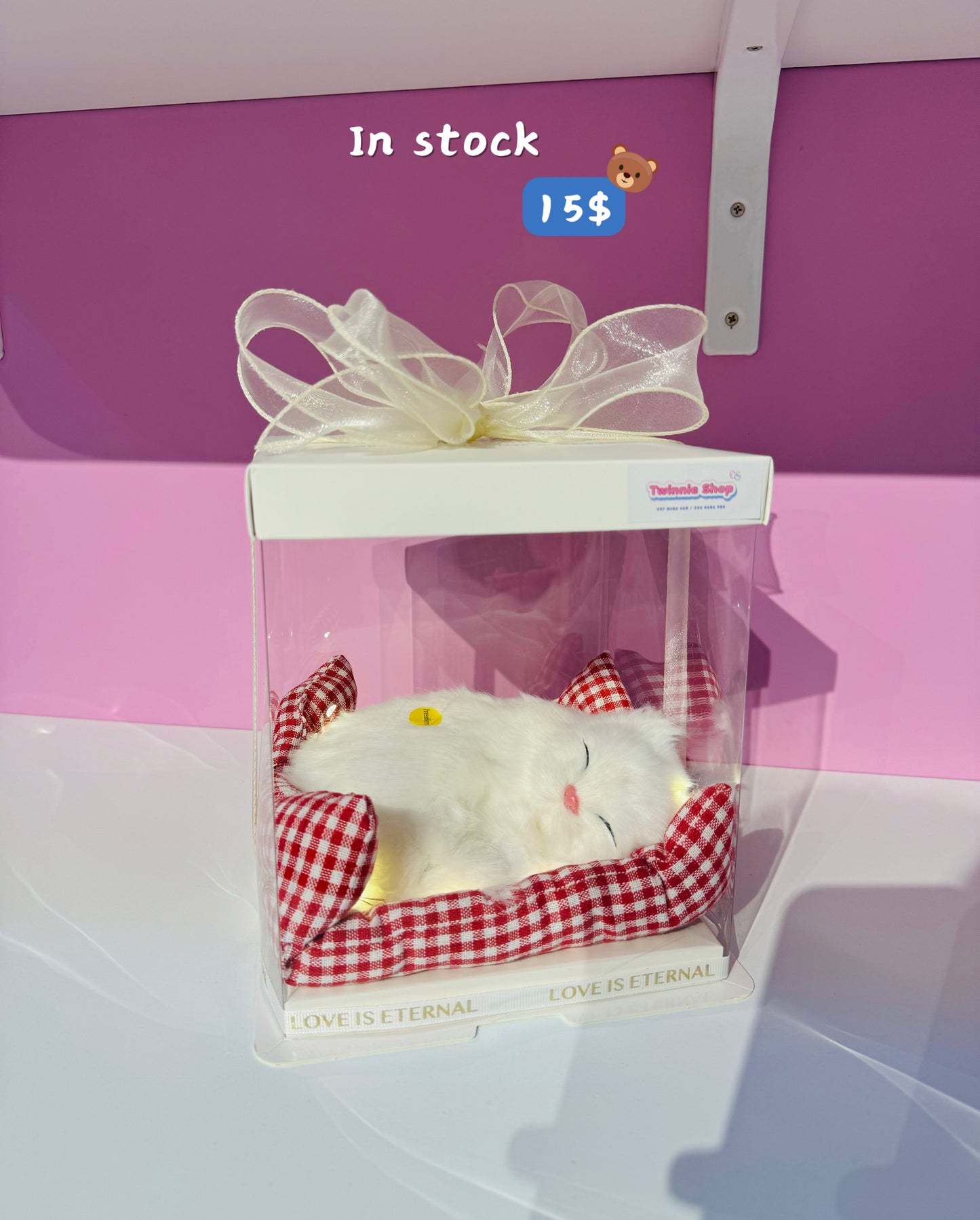 SRB10 | Sleeping cat gift box