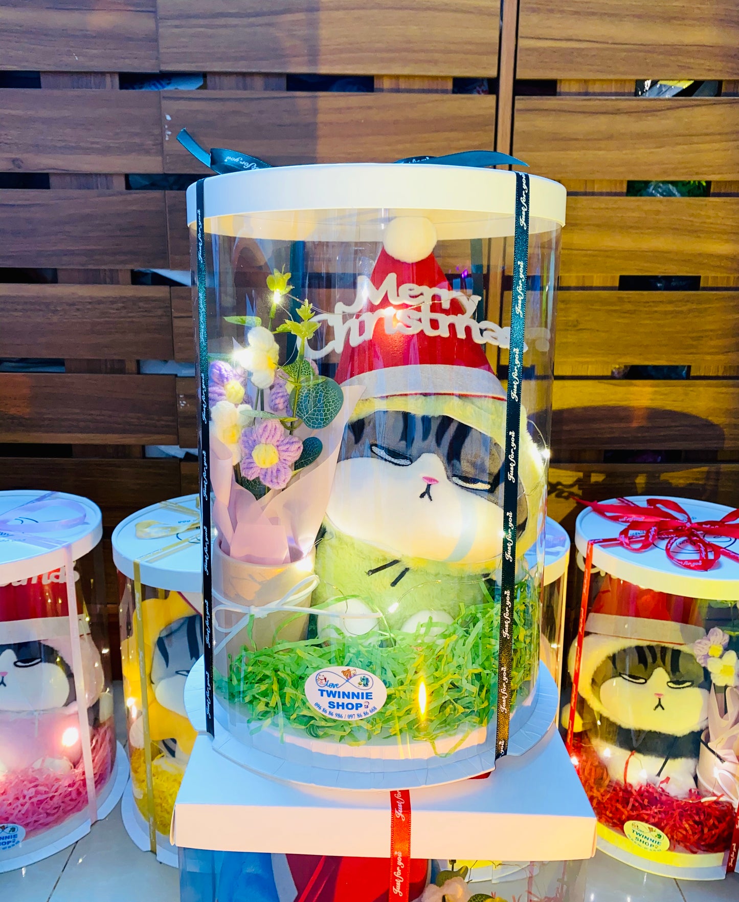 Xmas | Cat Christmas set