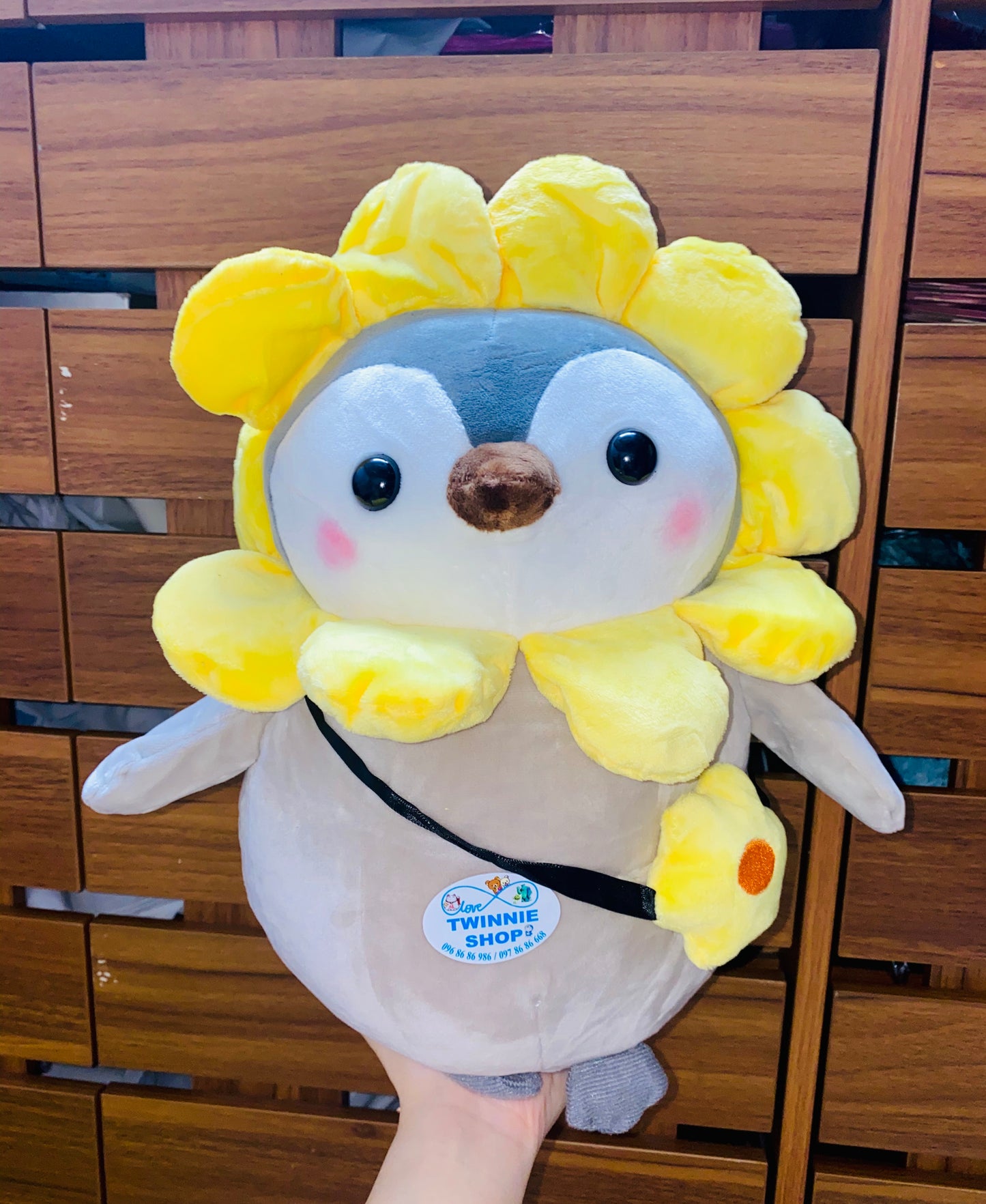 BT | Penguin
