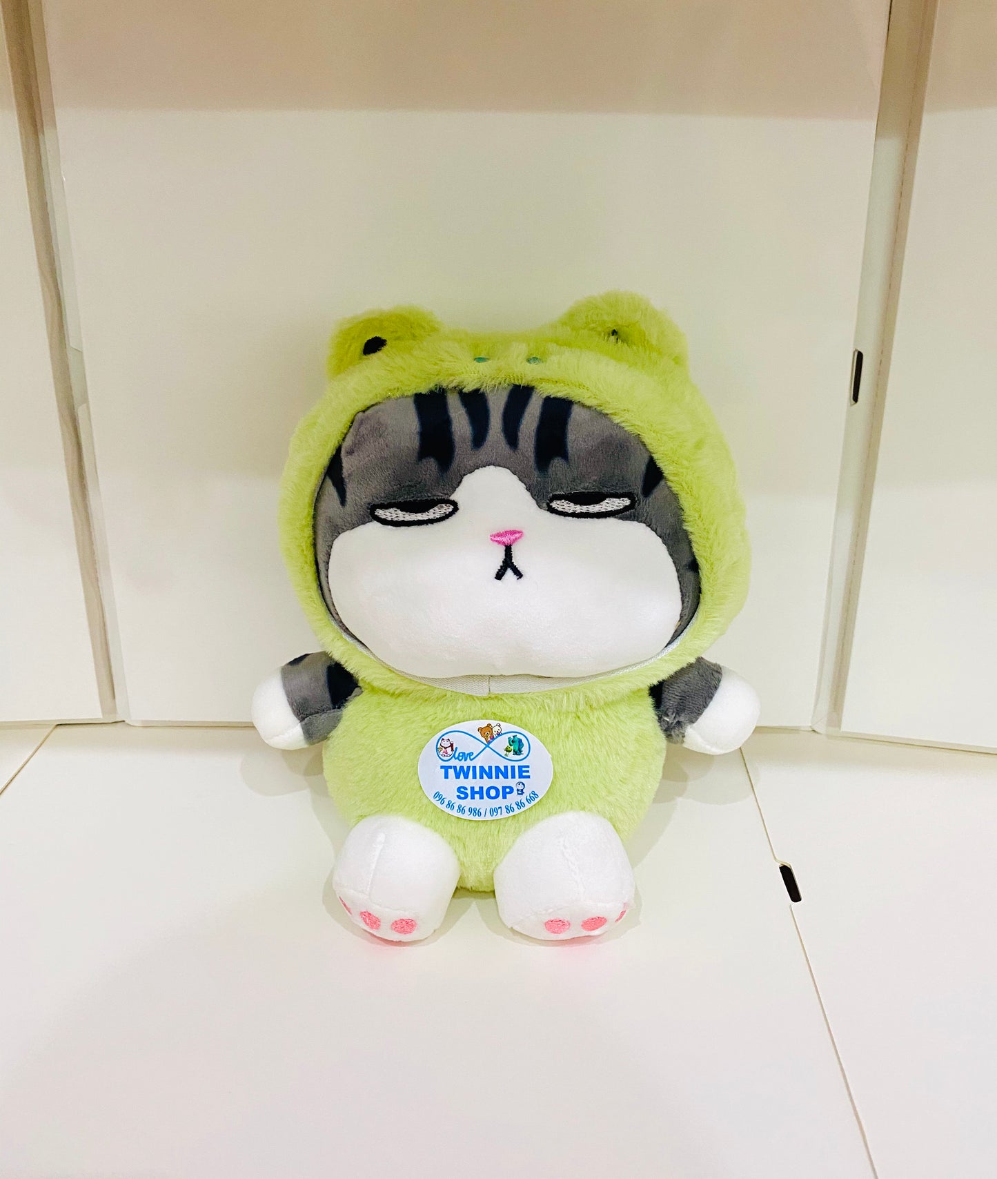 SD | Cat