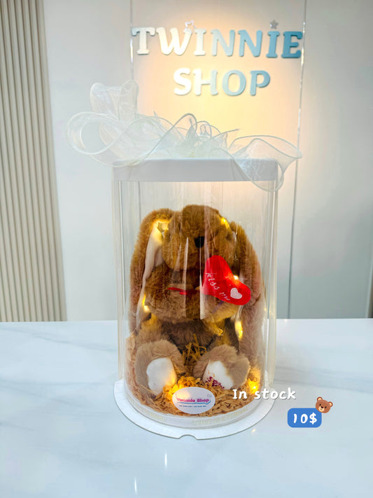 SRB10 | Bunny heart gift box