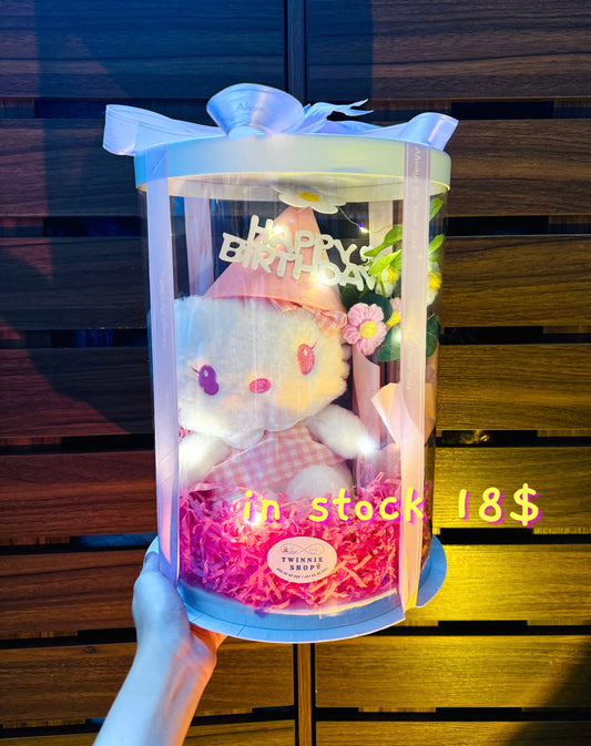 BD18 | Hello kitty birthday box