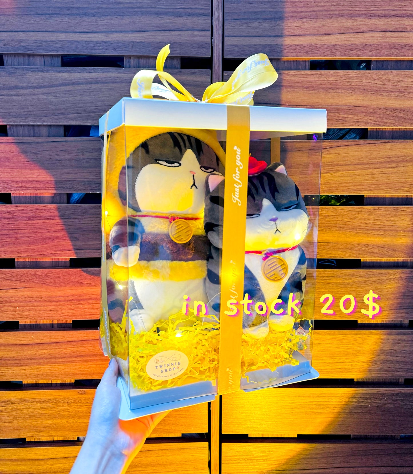 BB | Bee cat mix teddy set