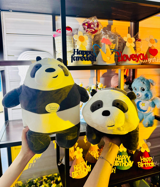 BT | Panda