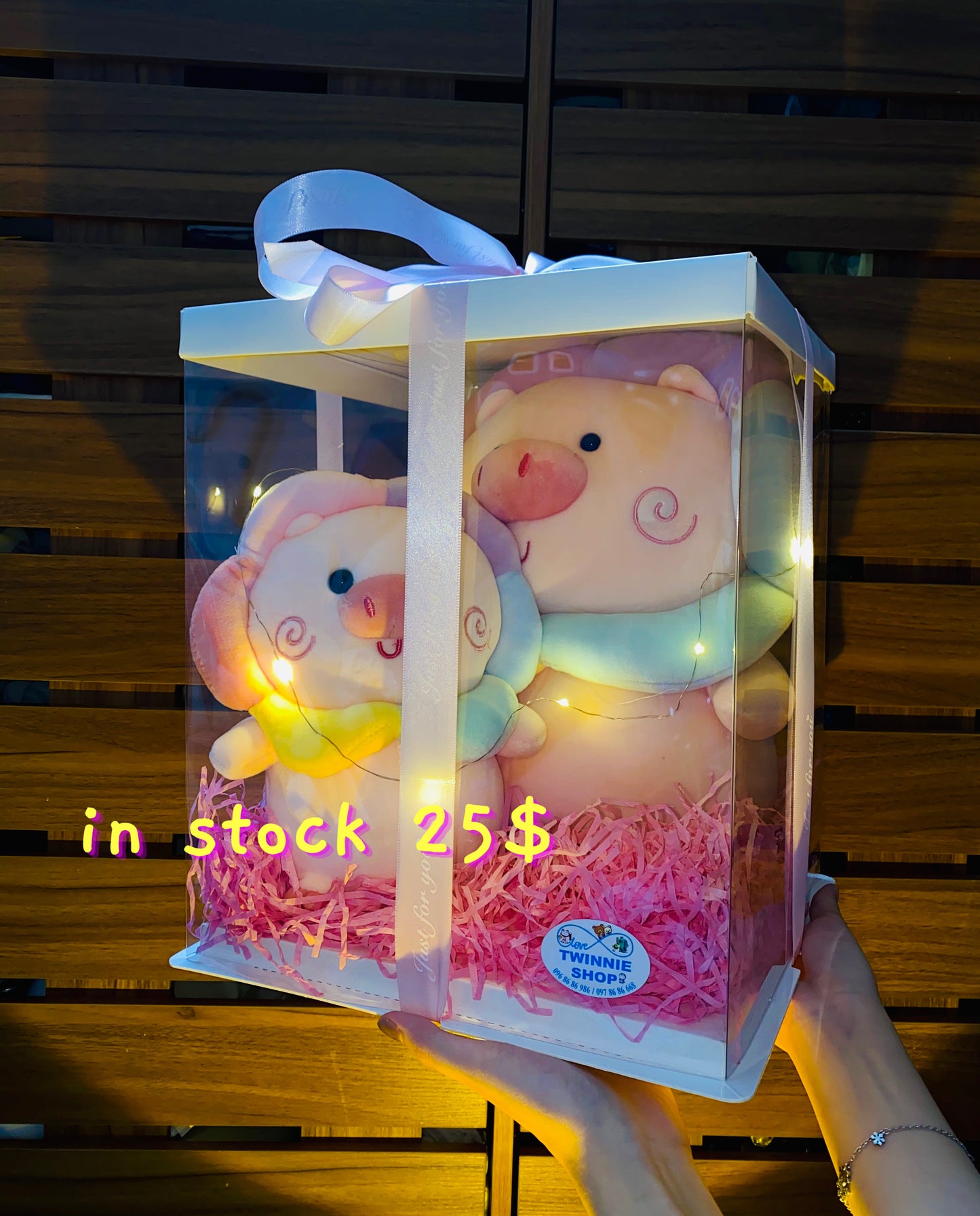 BB | Piggy mix teddy set