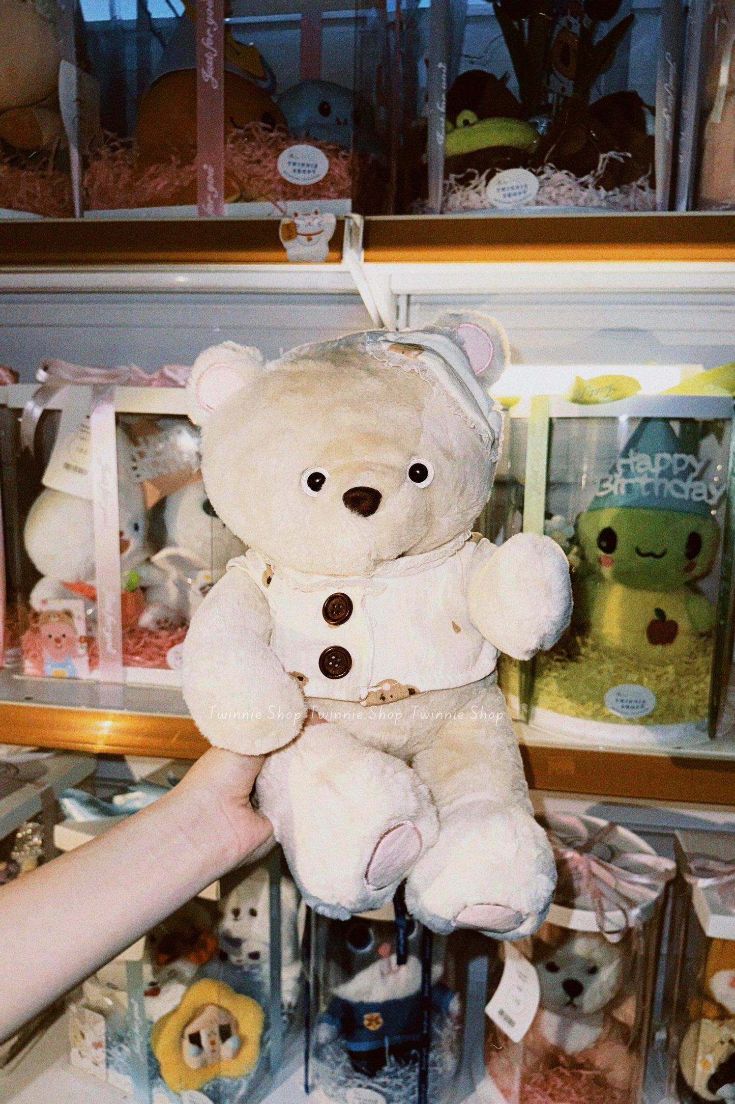 BT | Brown night bear