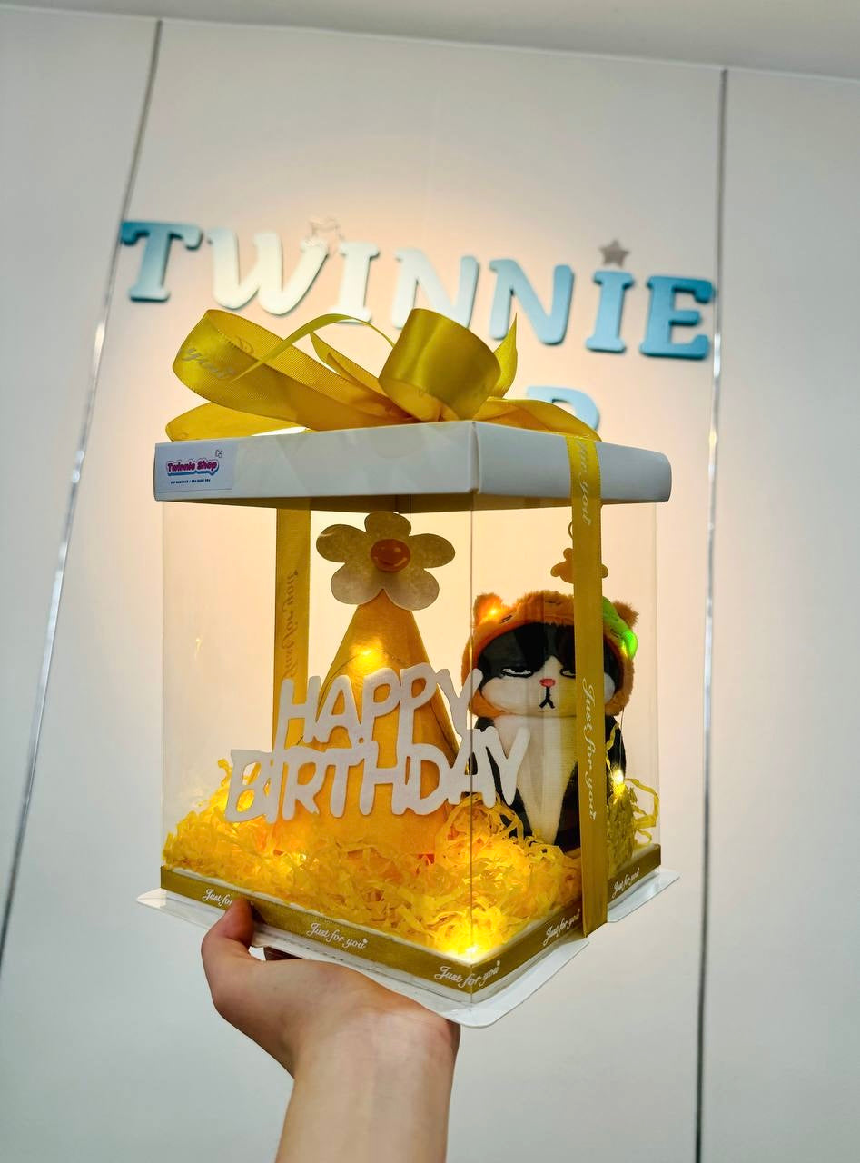 KCB | Cat birthday set