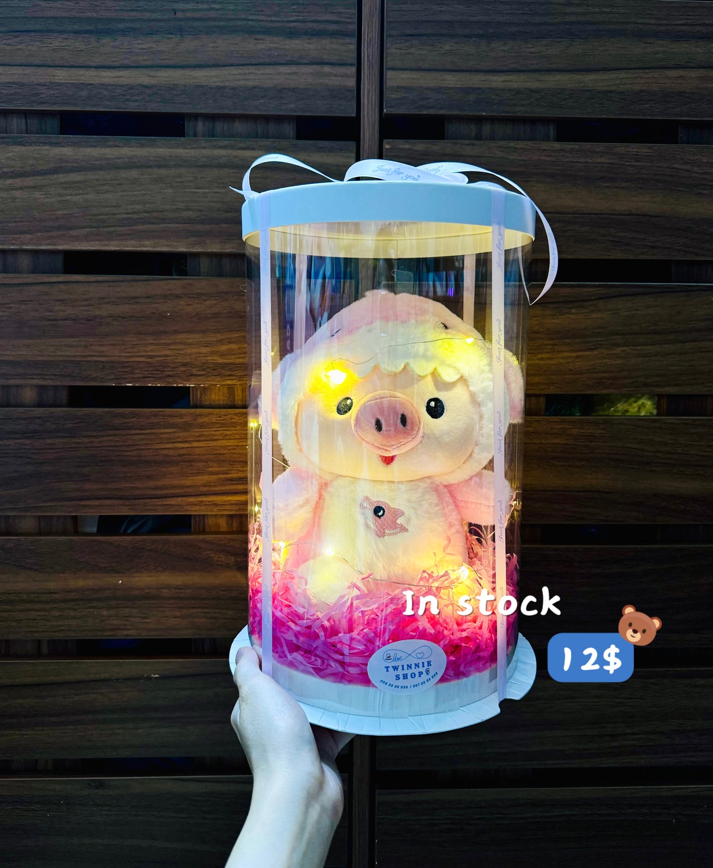 SRB12 | shark pig gift box