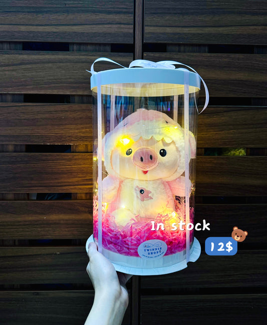 SRB12 | shark pig gift box