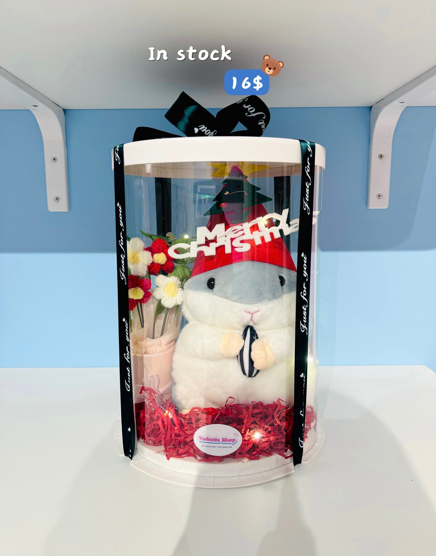 Xmas | Blue hamster box
