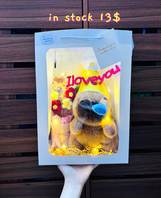 ILY | Capybara gift bag