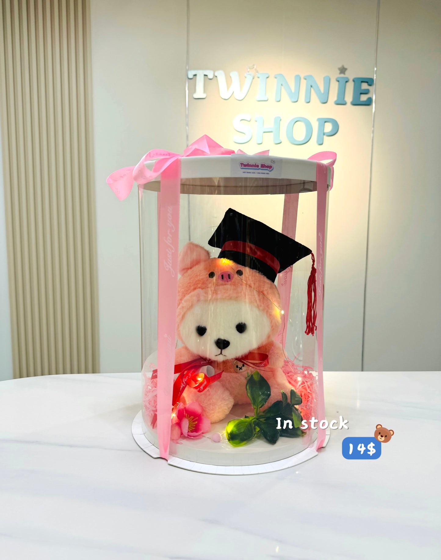 GRA | Teddy bear graduate set