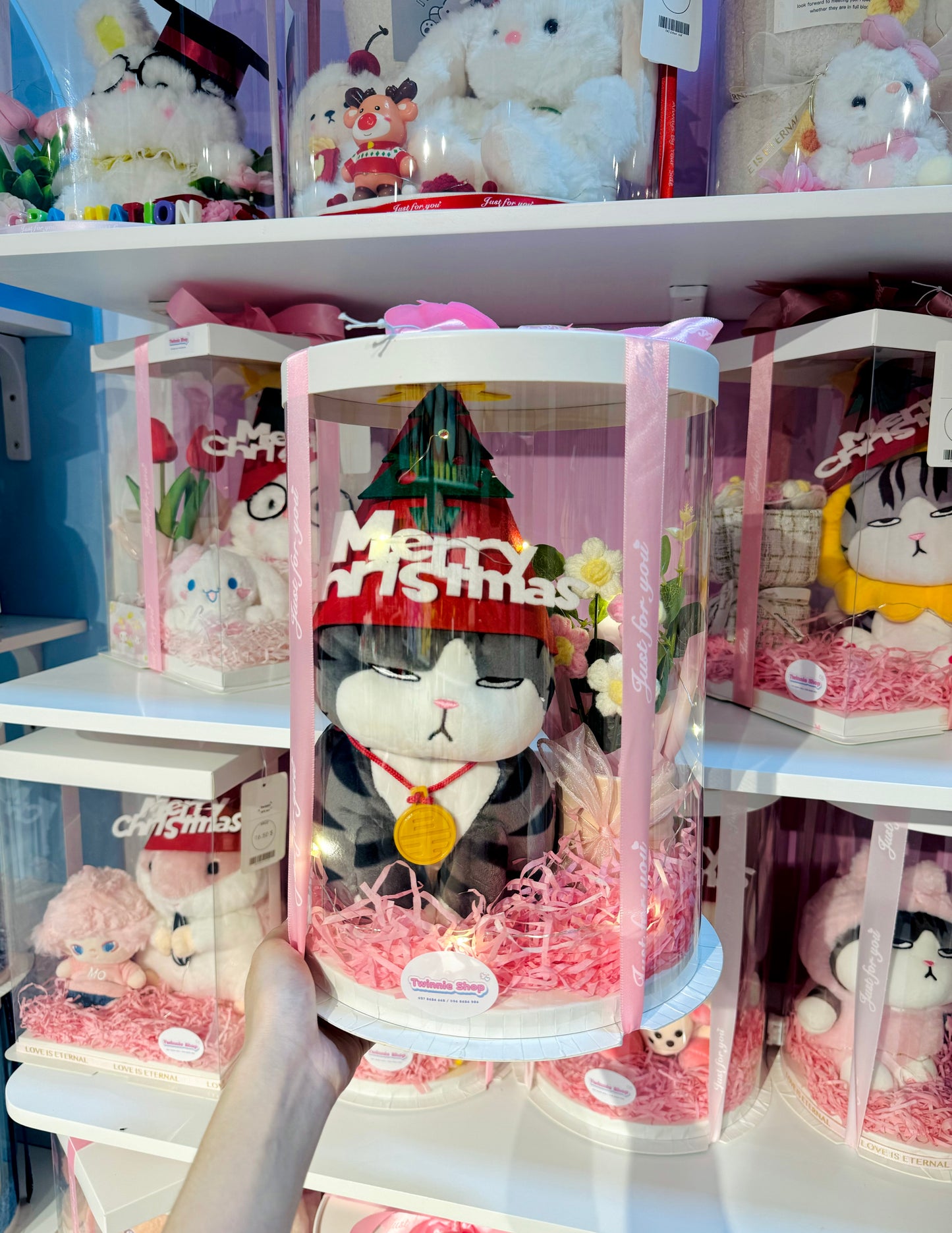Xmas | cat flower gift set
