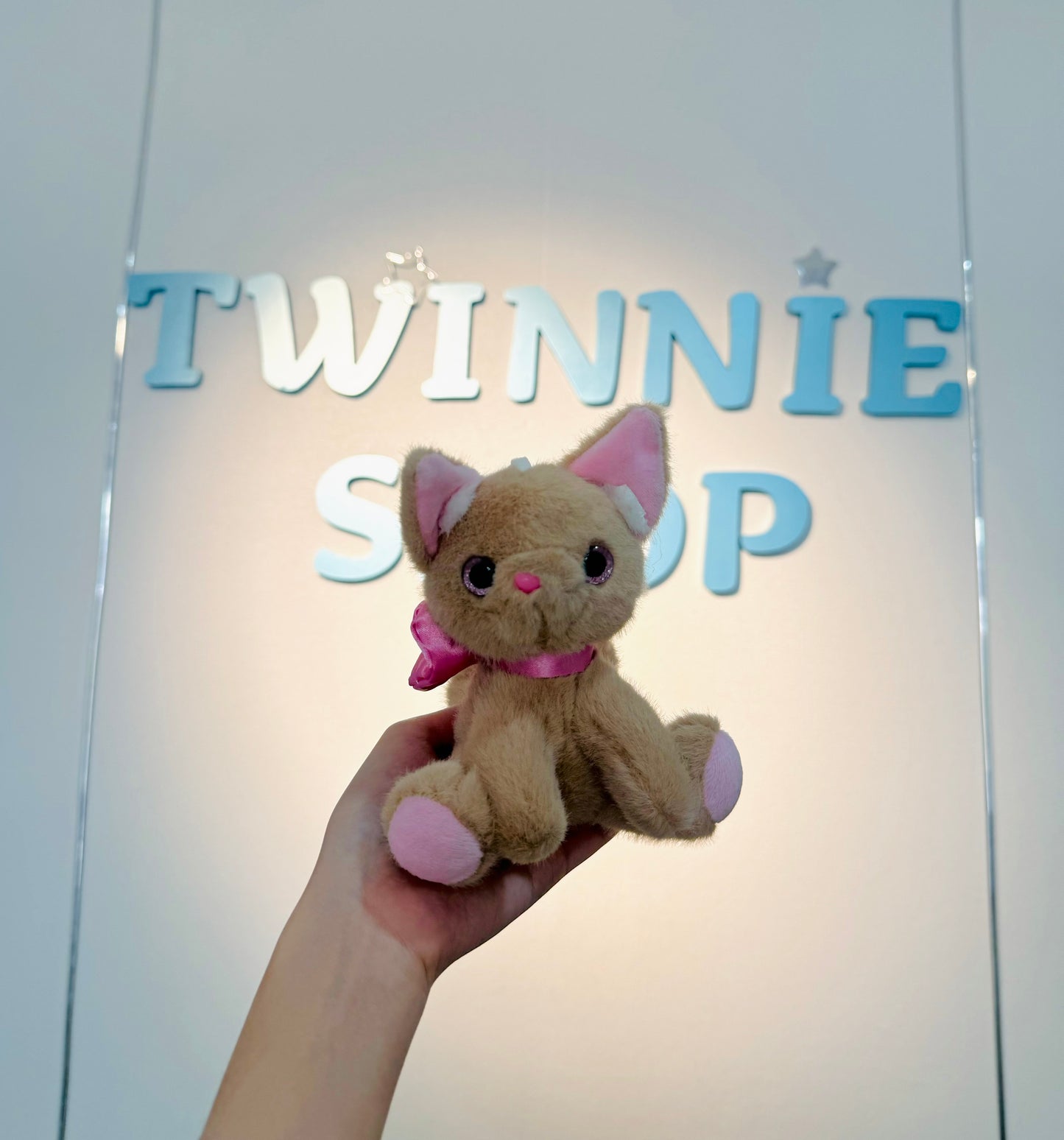 KEY | Ribbon cat keychain