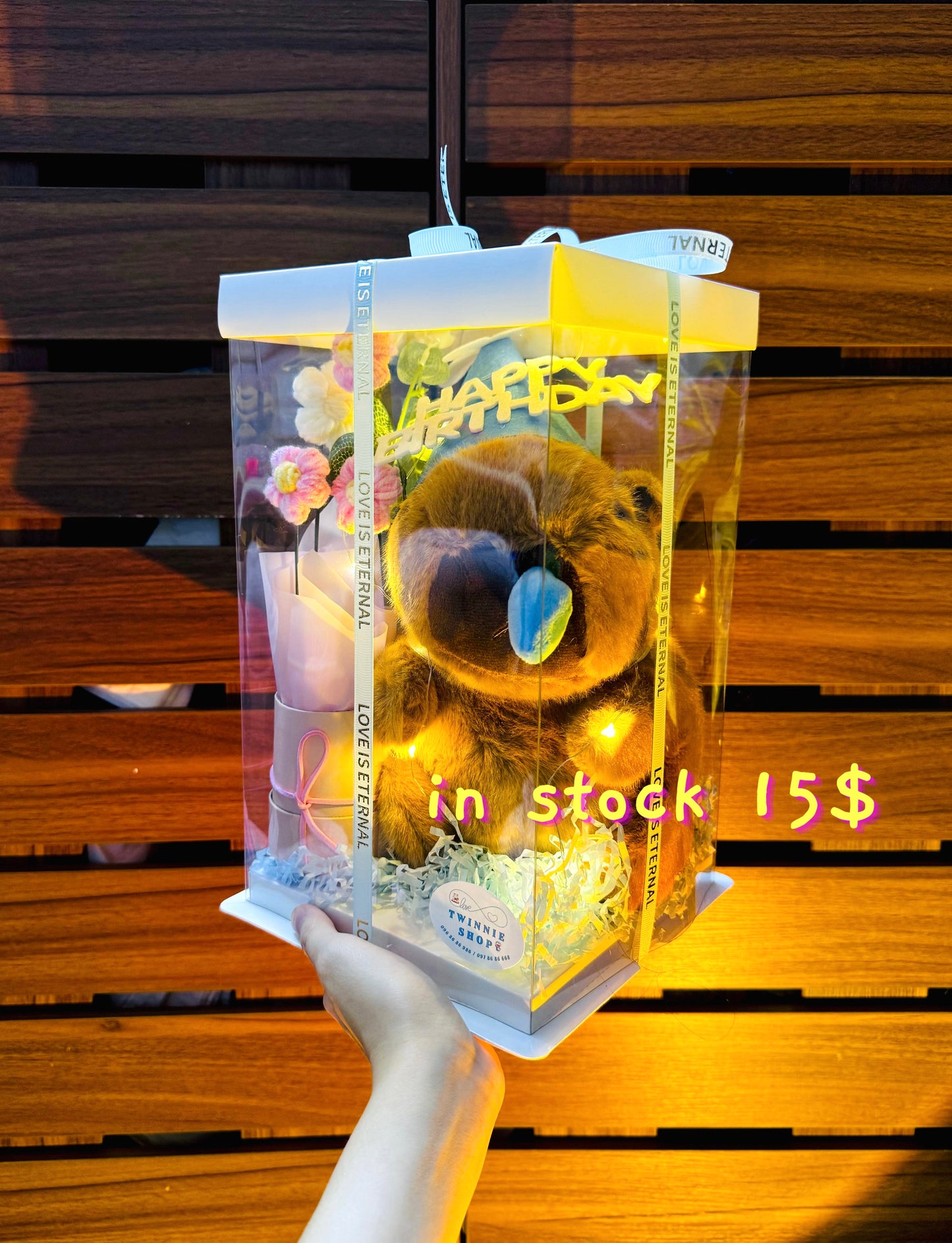 BD16 | Capybara birthday set