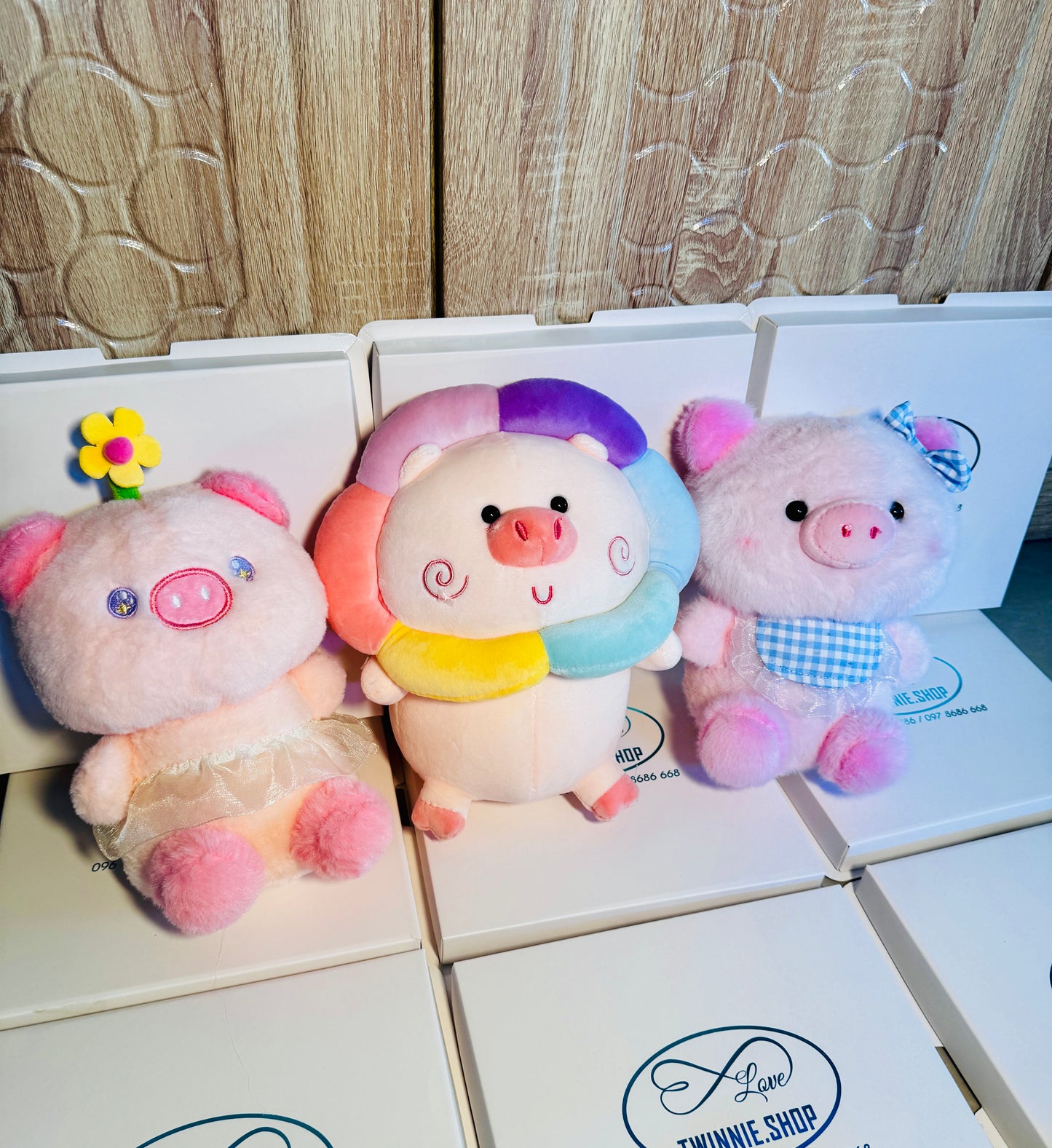 SD | Teddy 5$