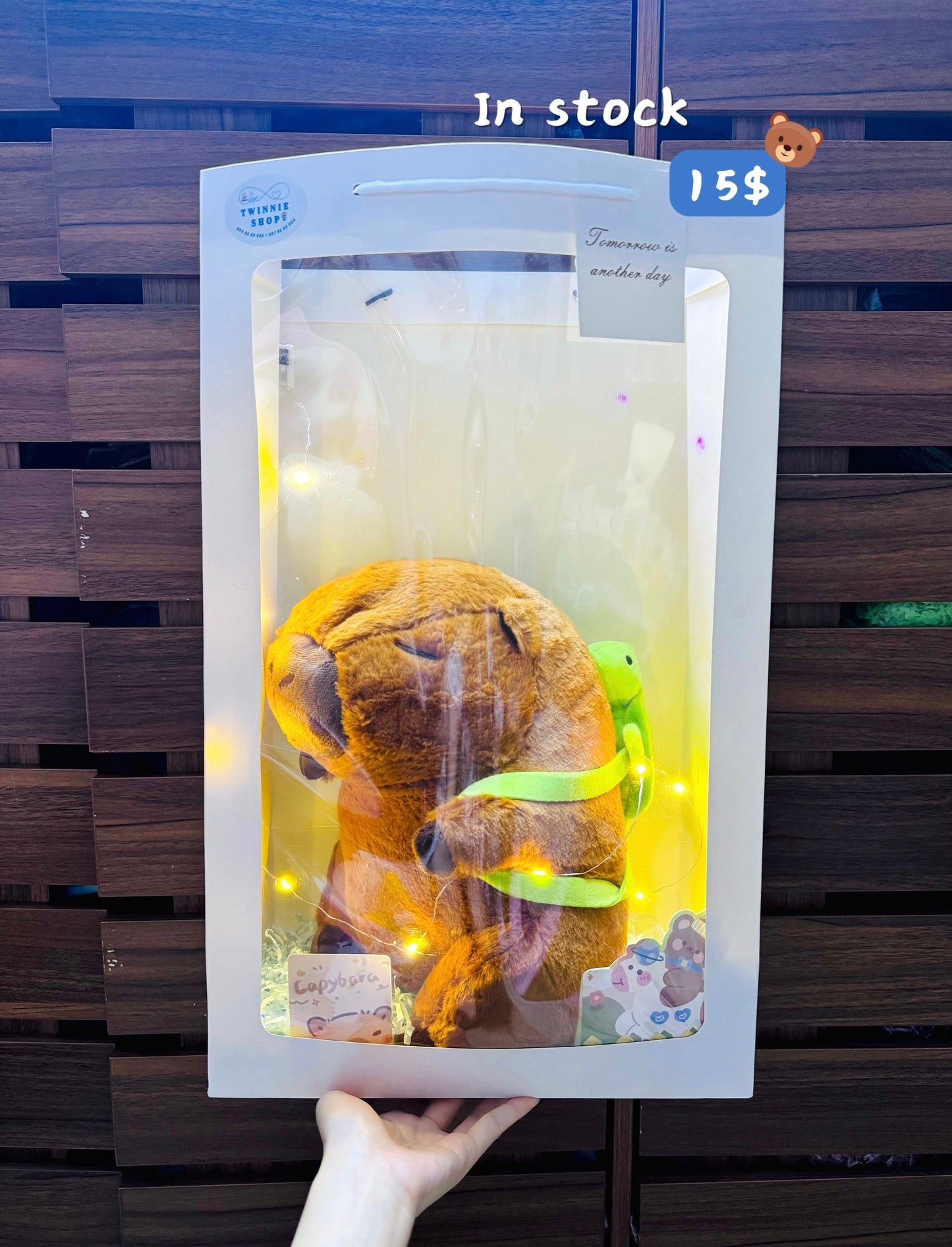 BB | Capybara turtle big set