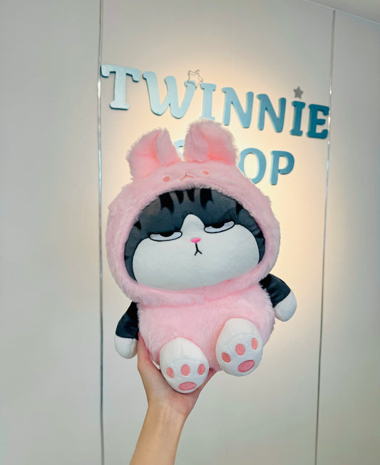 BT | Pink moody cat