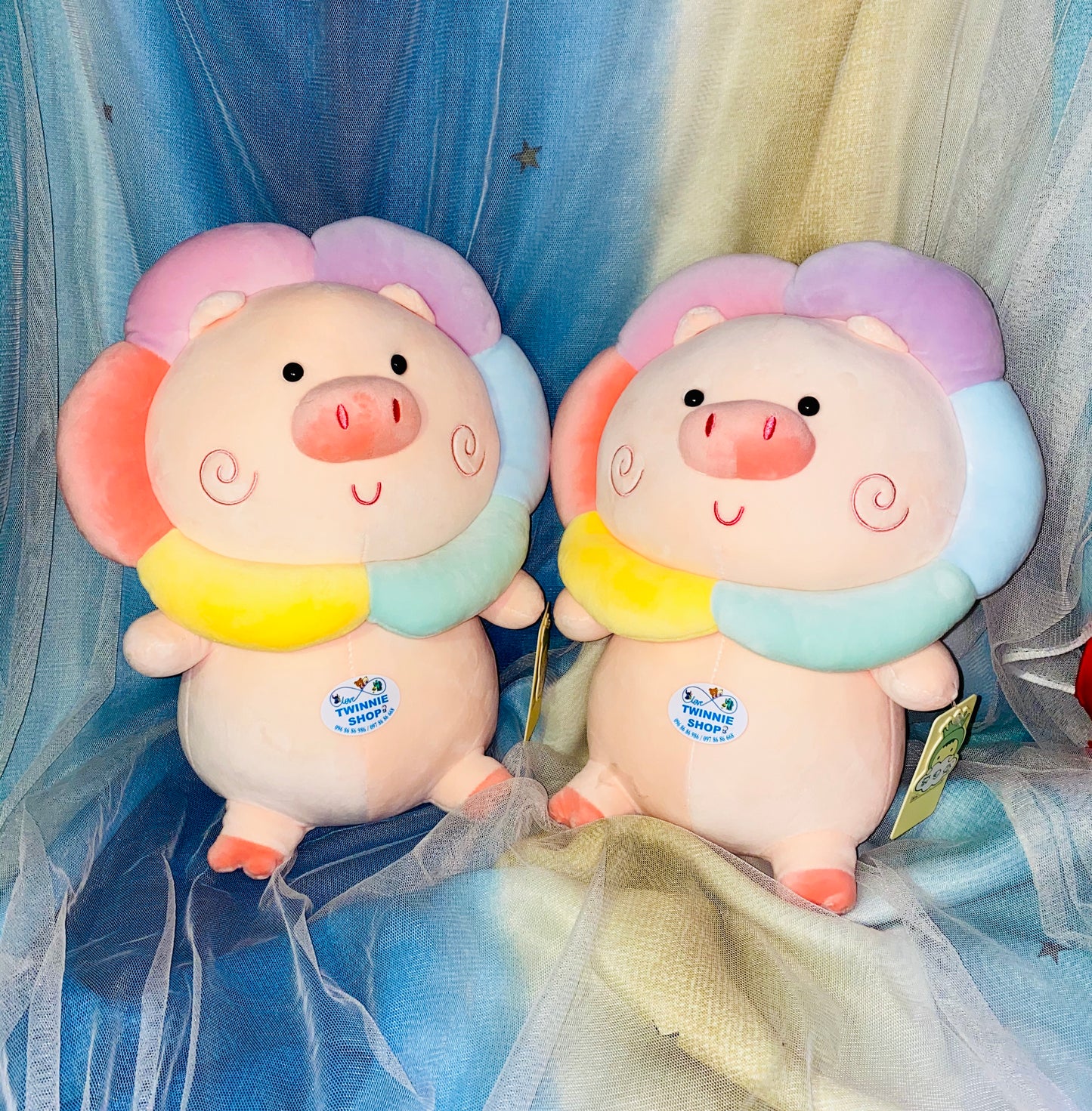 BT | Rainbow pig