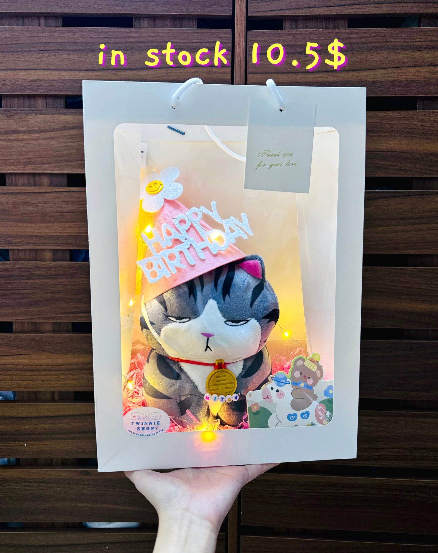 BD | Cat birthday gift bag