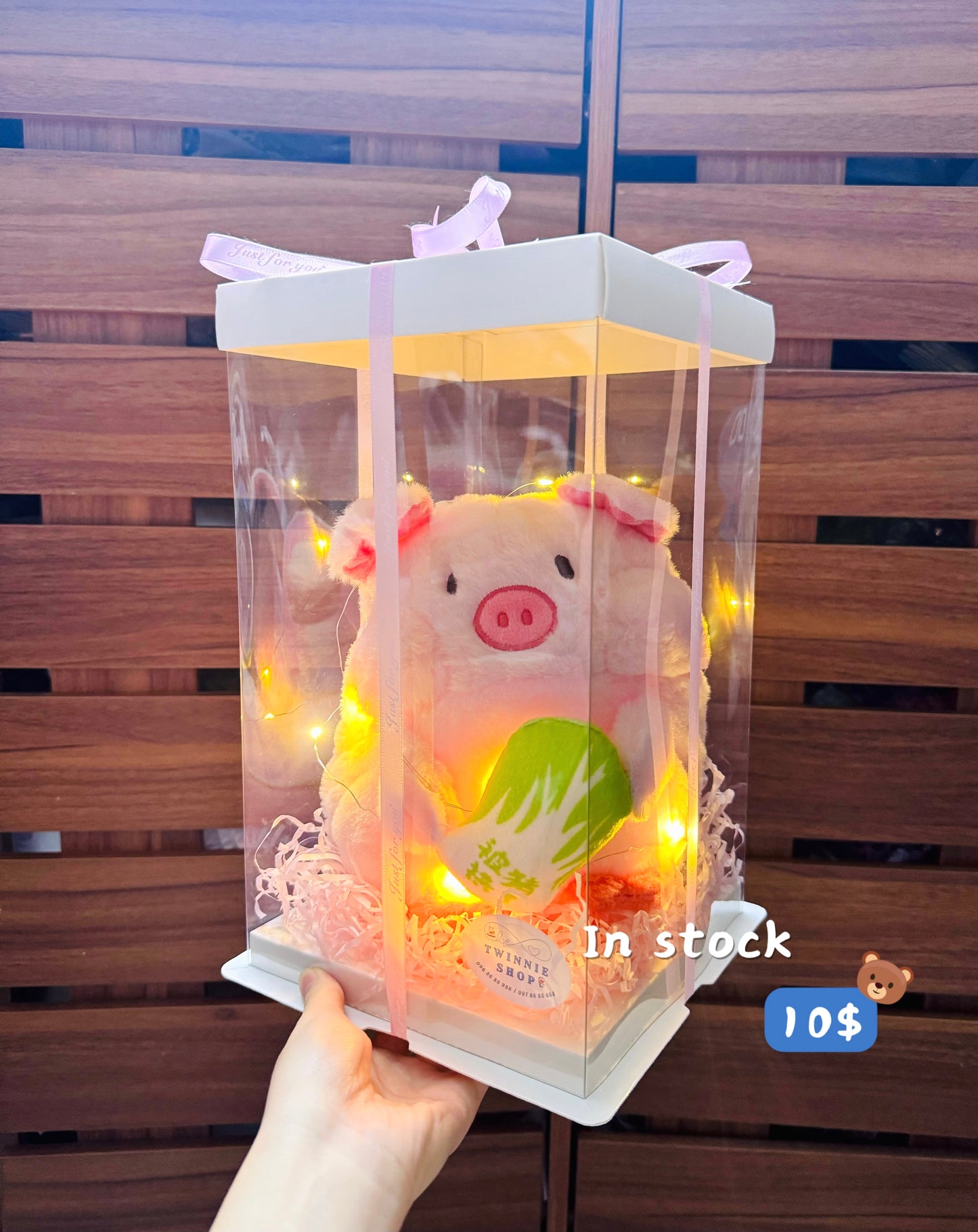 SRB10 | Vegetable pig gift box