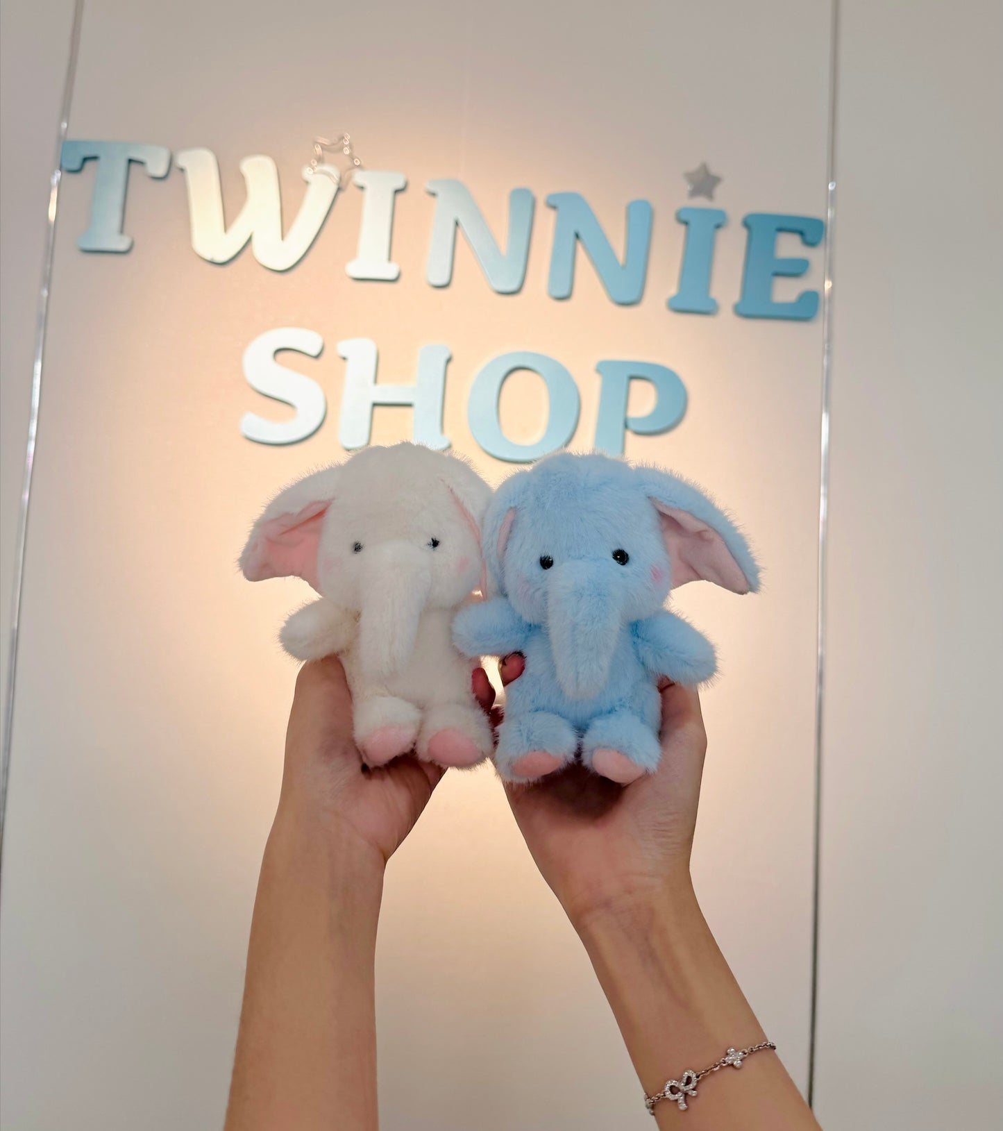 KEY | Elephant keychain