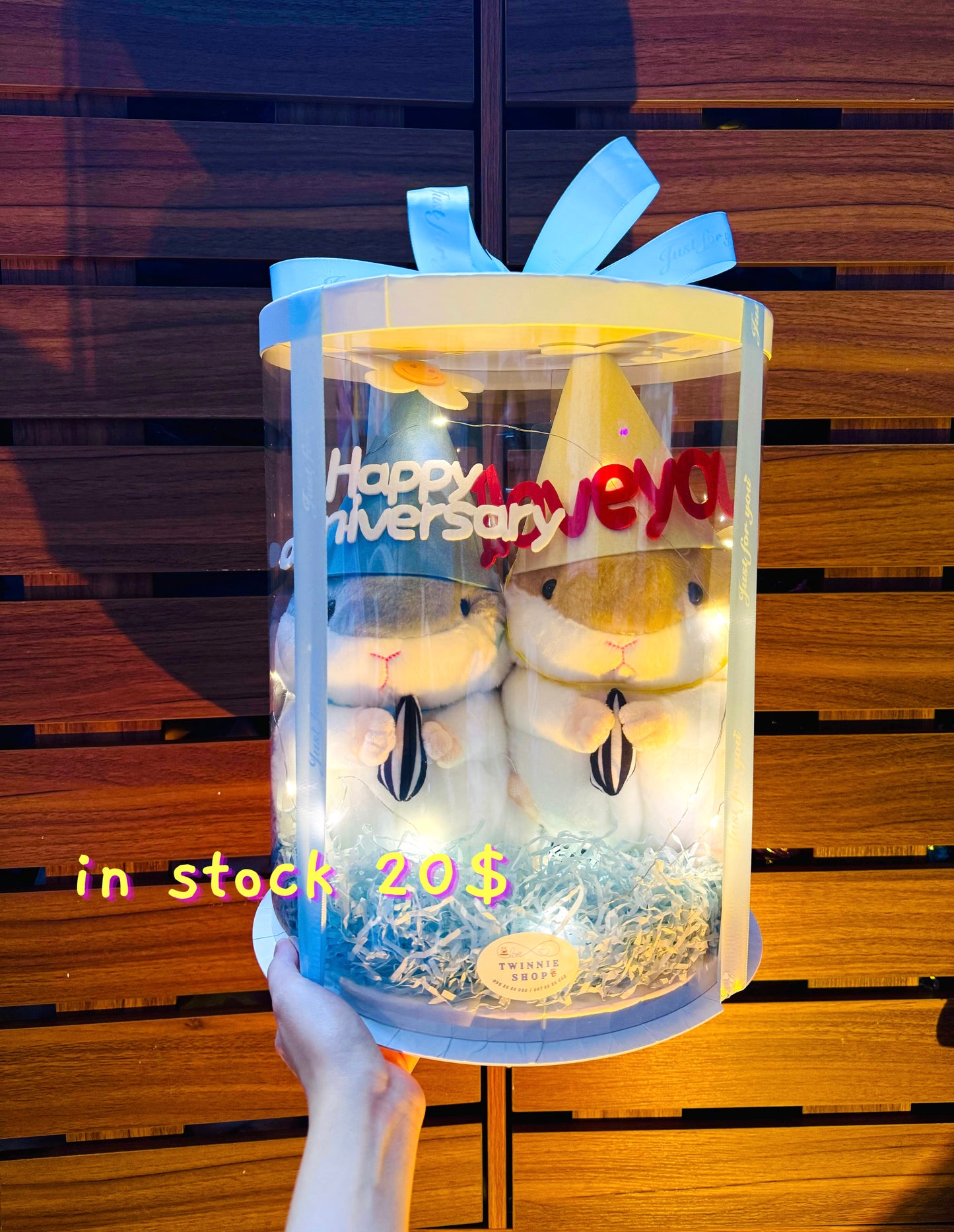 ANV | Hamster anniversary box