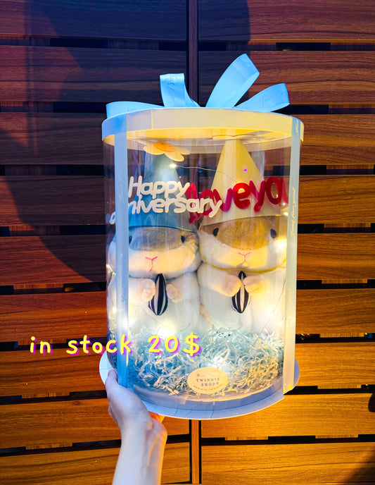 ANV | Hamster anniversary box