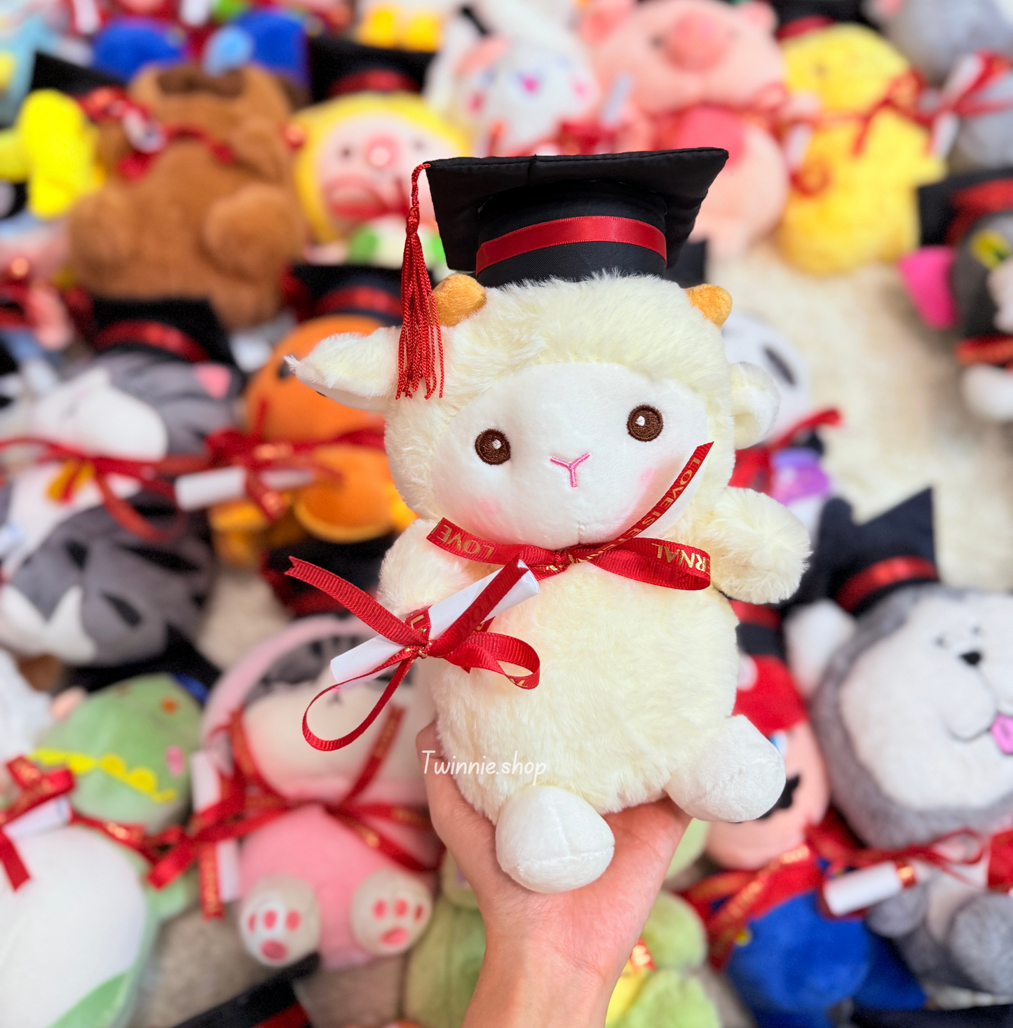GRASD | Graduate Teddy