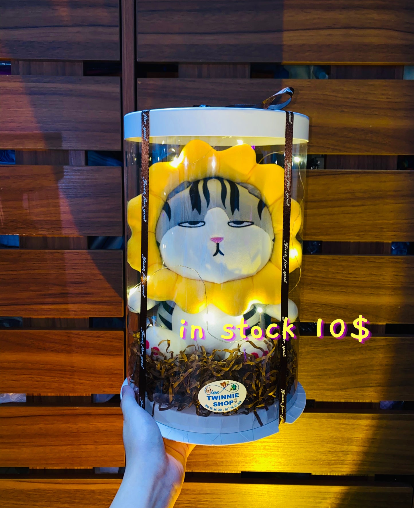 SRB10 | Moody cat gift box